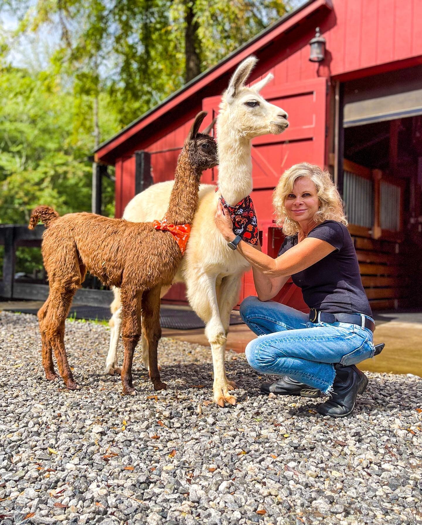 Let&rsquo;s wish a VERY happy birthday to our &ldquo;Goat Mama,&rdquo; @cathihuff 🥳🌸✨ She is the beautiful mind, heart and soul behind everything we do, and her love for her animals transcends all else. 🐐🦙🐖🐎🐓 With her hands-on approach to lead