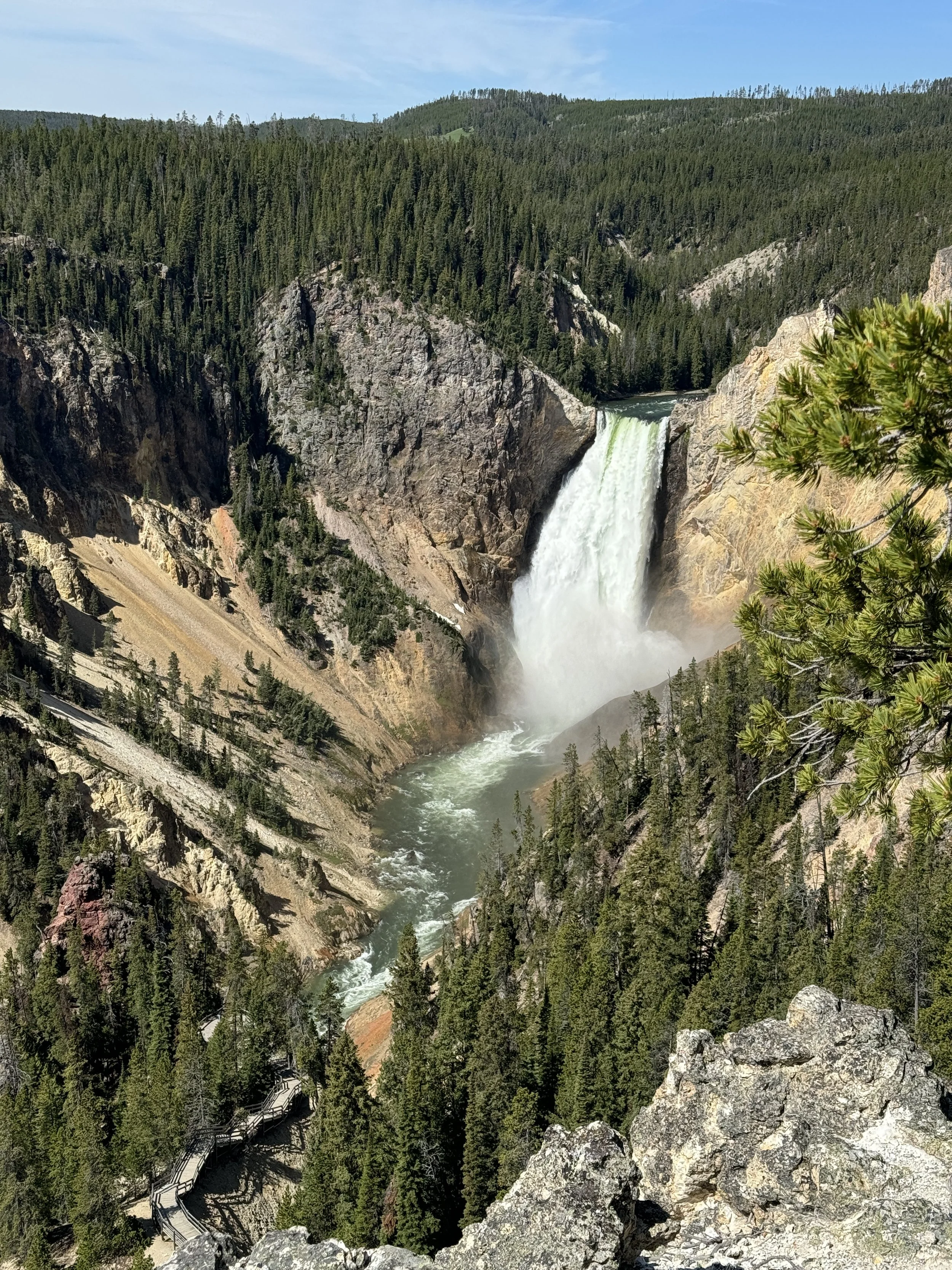 IMG_7049.JPG
