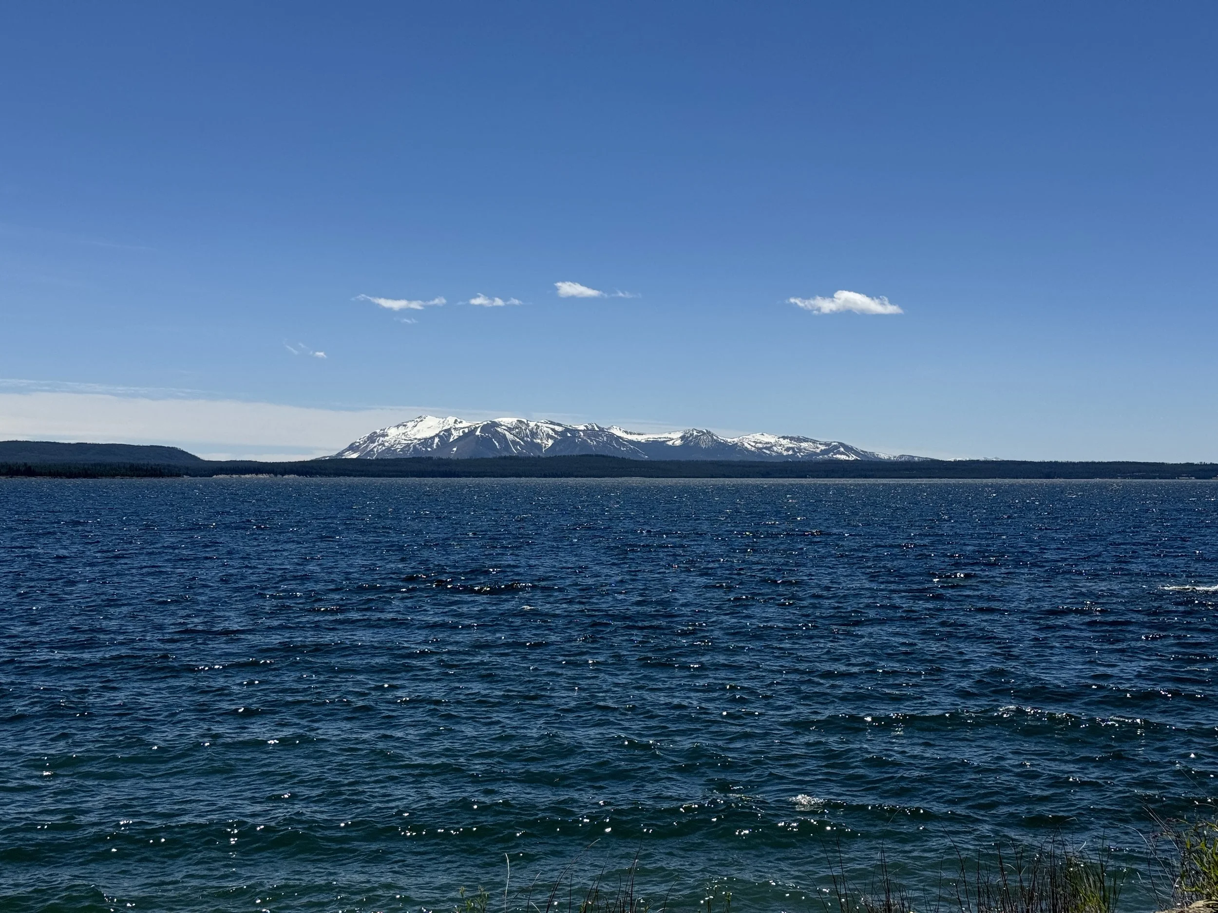 IMG_7070.JPG