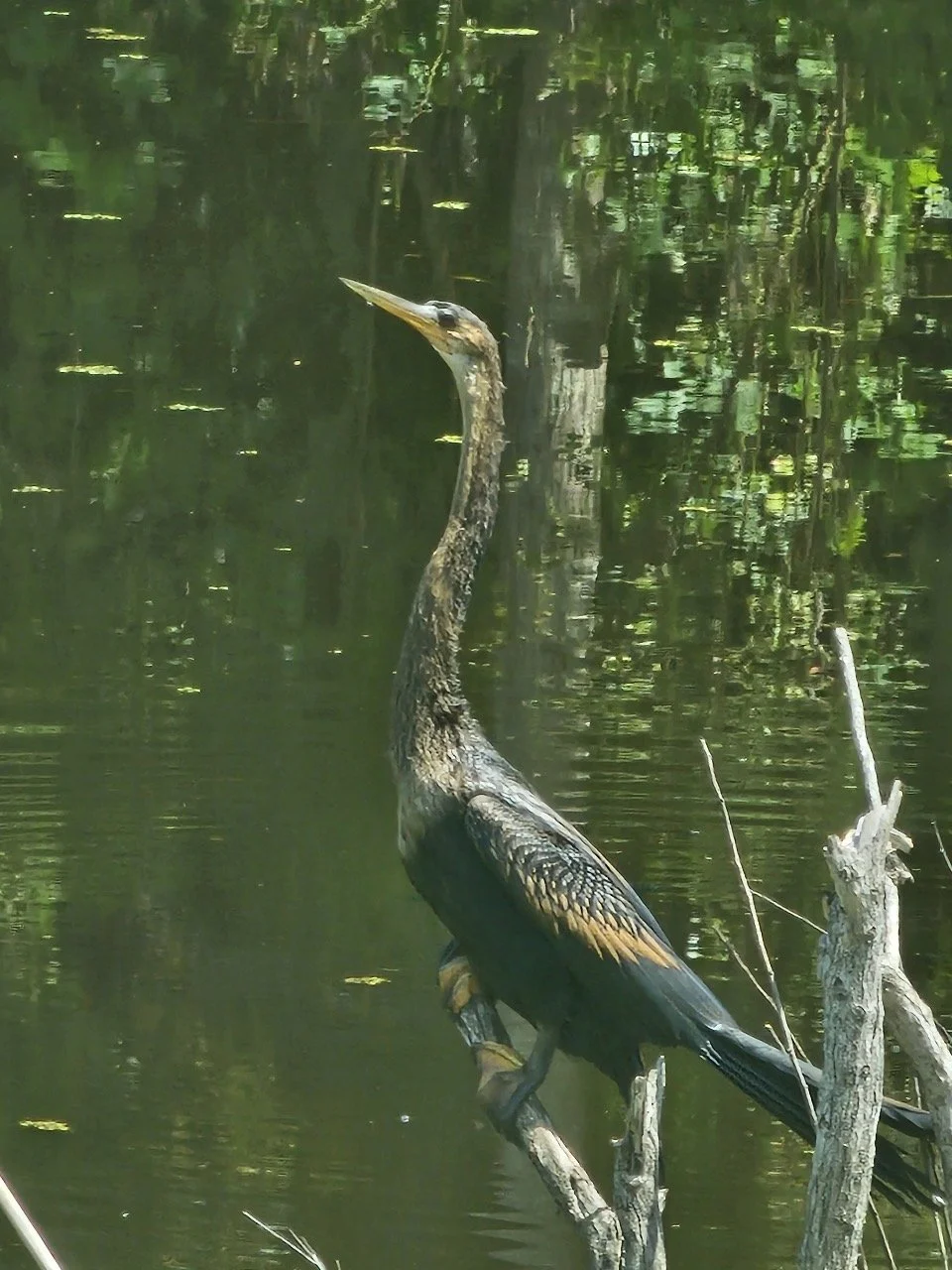 Wildlife Refuge
