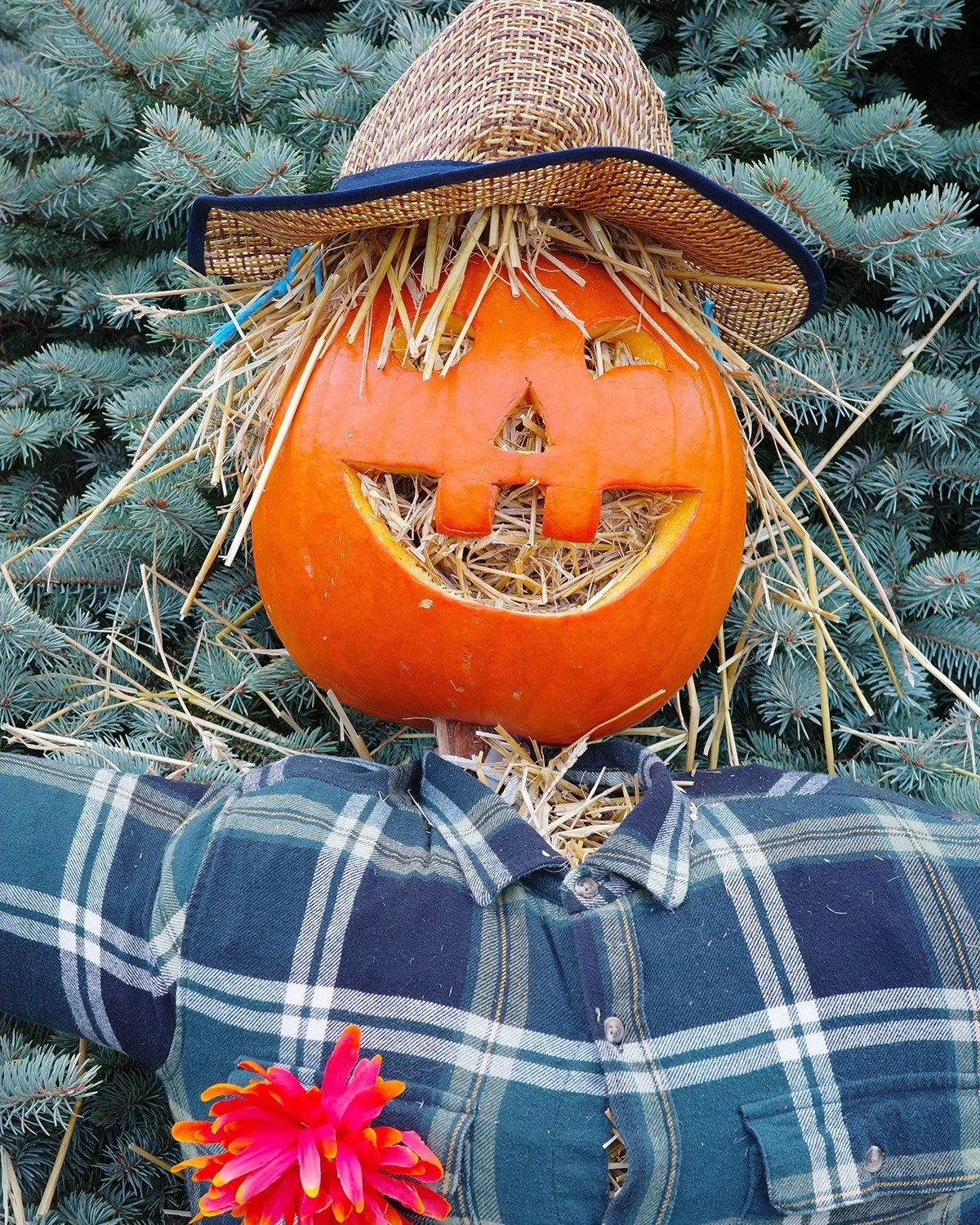 Friendly reminder that there's just a few days left to get your scarecrows in! Don't forget! 

Be sure to check https://www.facebook.com/share/16FugYgxMa/ for more info!