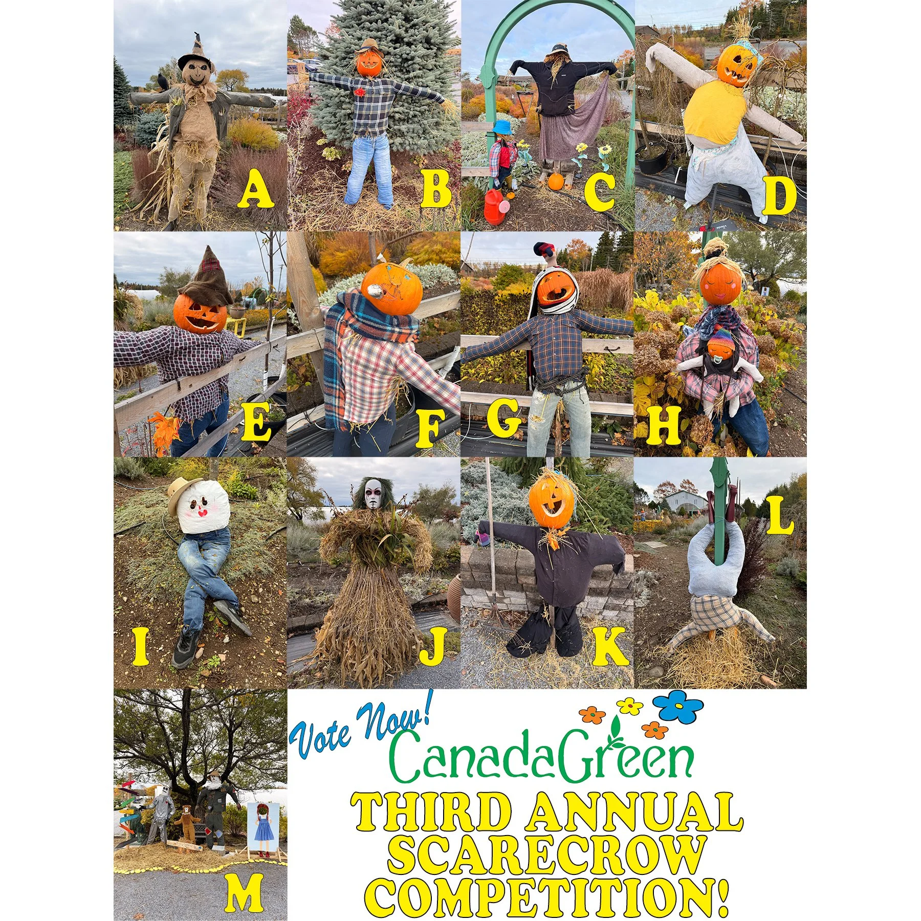 Voting for our third annual scarecrow competition starts NOW! 

It's very easy to vote - just comment the letter of the scarecrow that you like best! Yes, it's that easy! 

We also have in-person voting at the shop if you're wanting to stop by and ta