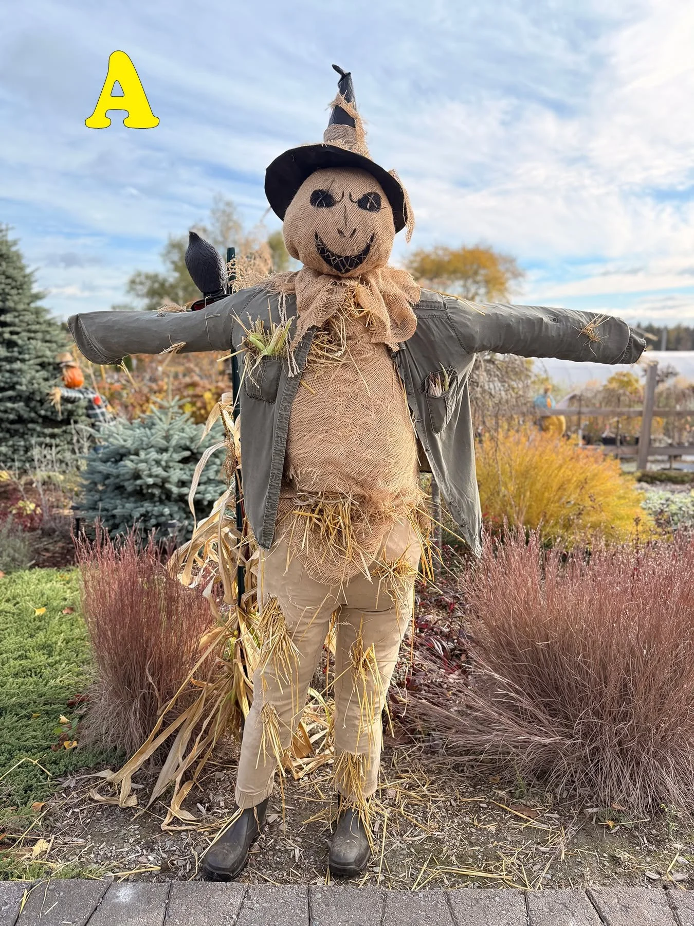 For those of you that need a bigger view! Going to post each of them in a group so they get the praise they deserve!