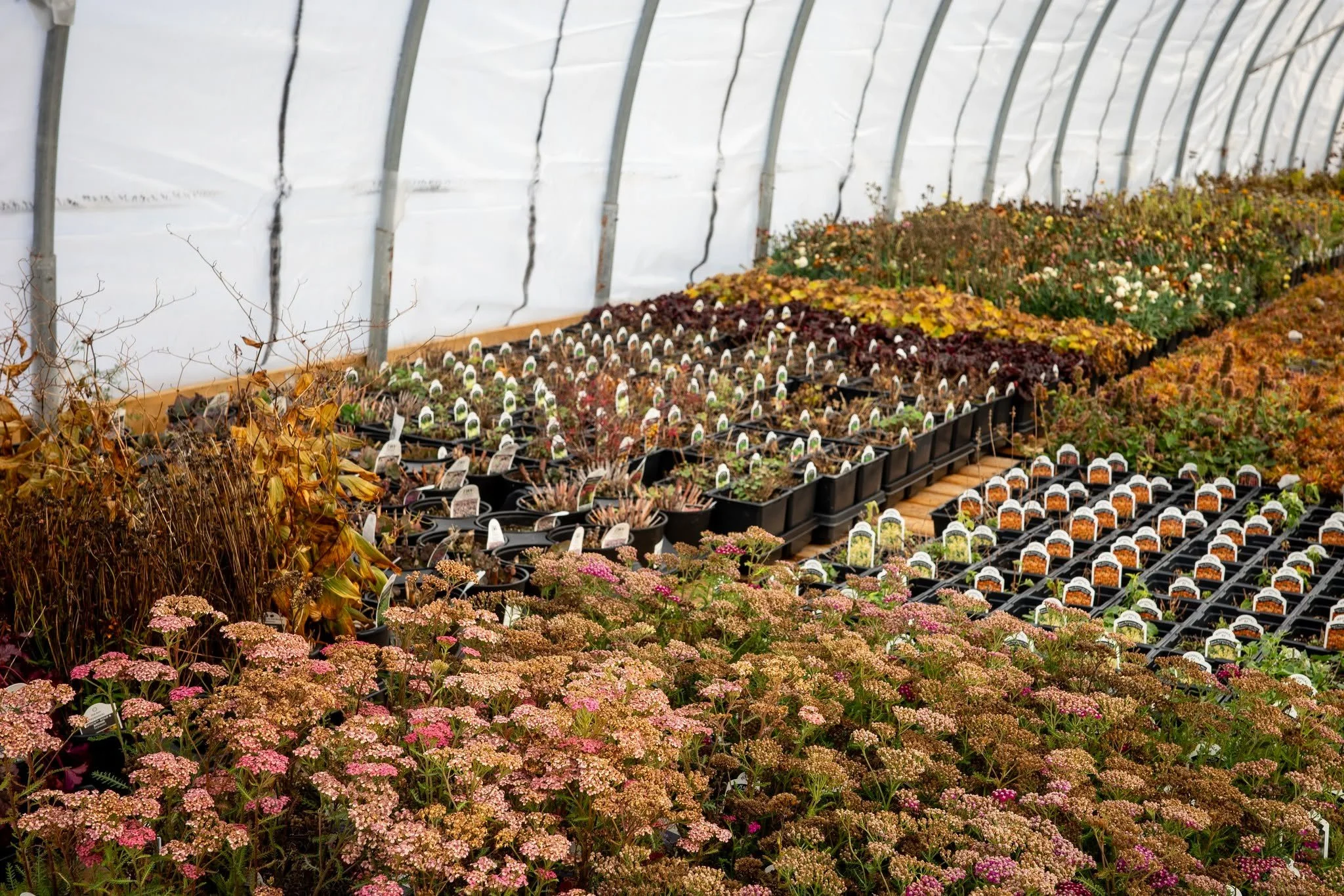 Well folks, it's officially cold out - that means it's time for us to close and to let our plants sleep through the winter! 

Thanks to everyone for another excellent year of great gardening! Looking forward to seeing you all again in the spring!