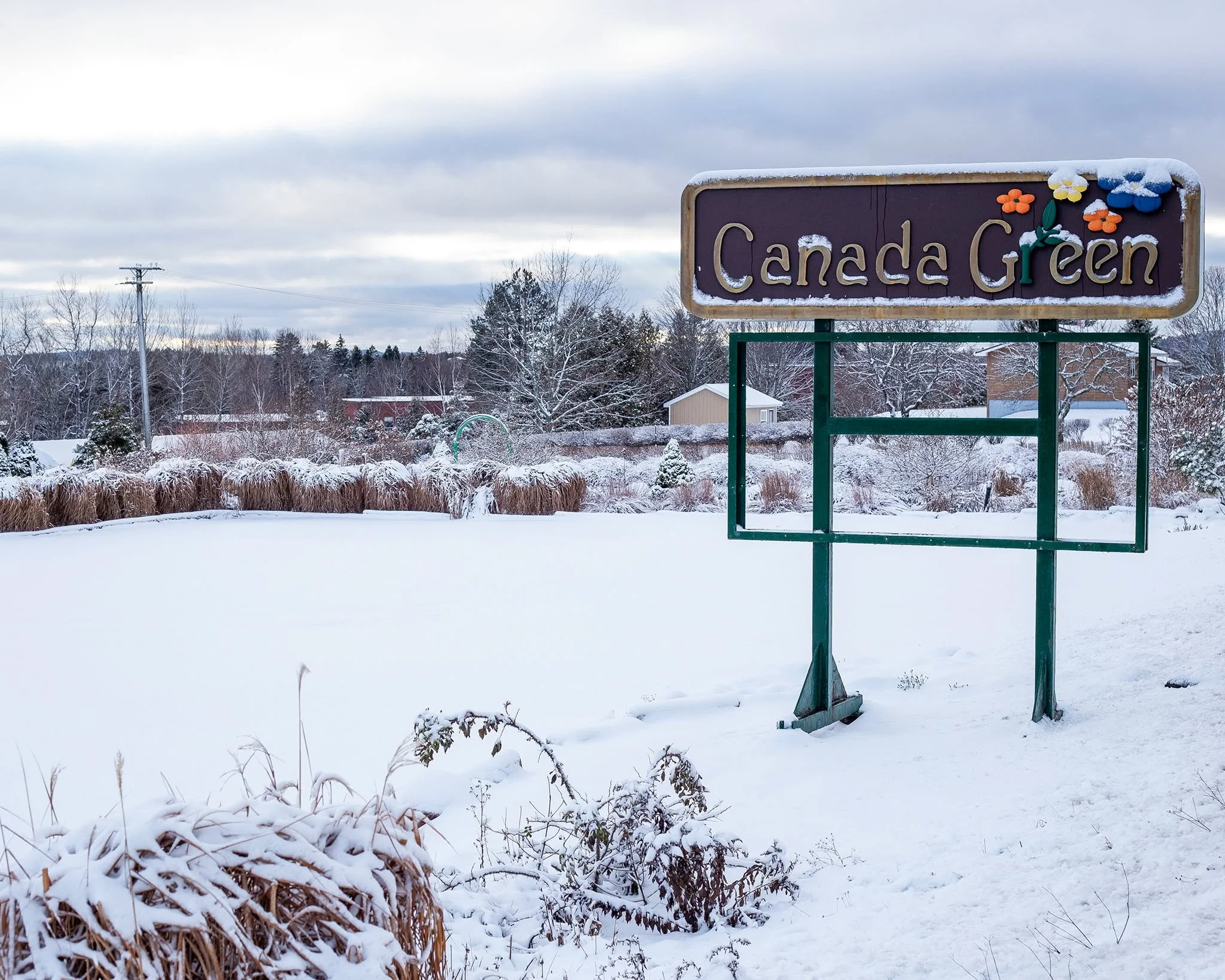 It might not be the best time to be planting, but that shouldn't stop you from thinking about next year's garden!

Perhaps a gift certificate is the answer for the gardener on your shopping list this Christmas! Order online or give us a call at 506-7