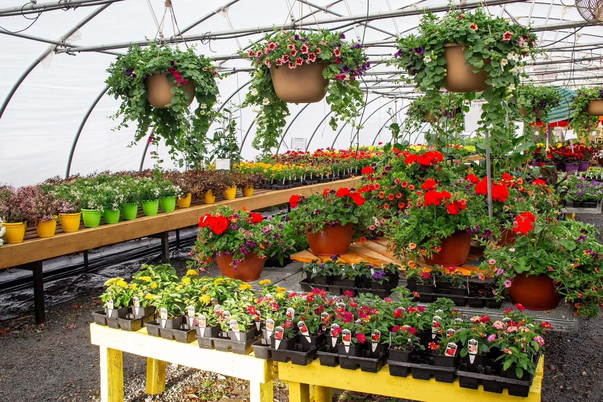 Back to business as usual here at Canada Green - if you're thinking about your annuals or veggie garden this week, i'd probably tell you to move that to the top of your to-do list!