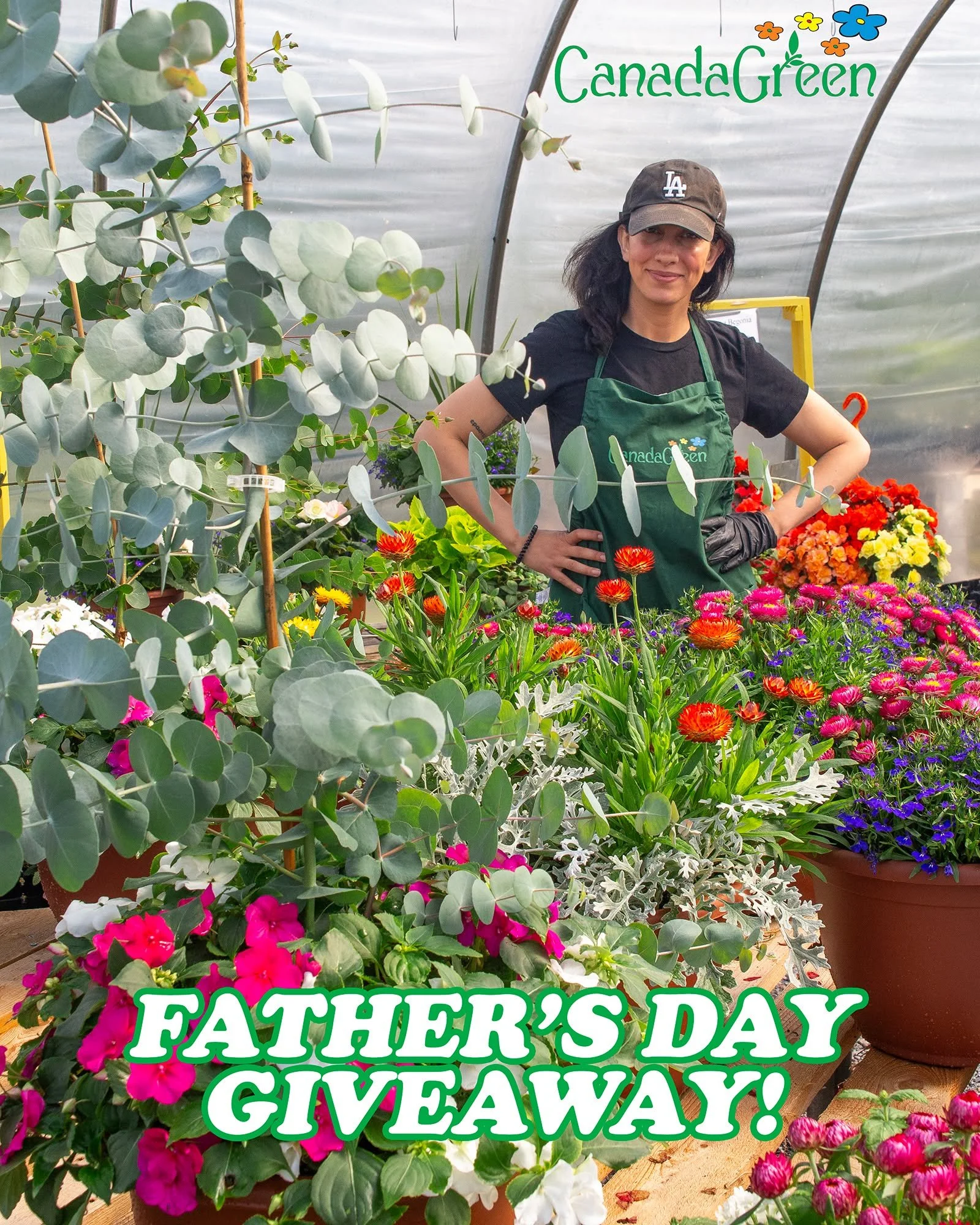 Quick reminder that you still have time to enter into our Father's Day giveaway - follow this link to enter!
https://www.facebook.com/share/p/1JZ3PikdC6

We still have a great selection of summertime planters to jazz up any spot that needs a burst of