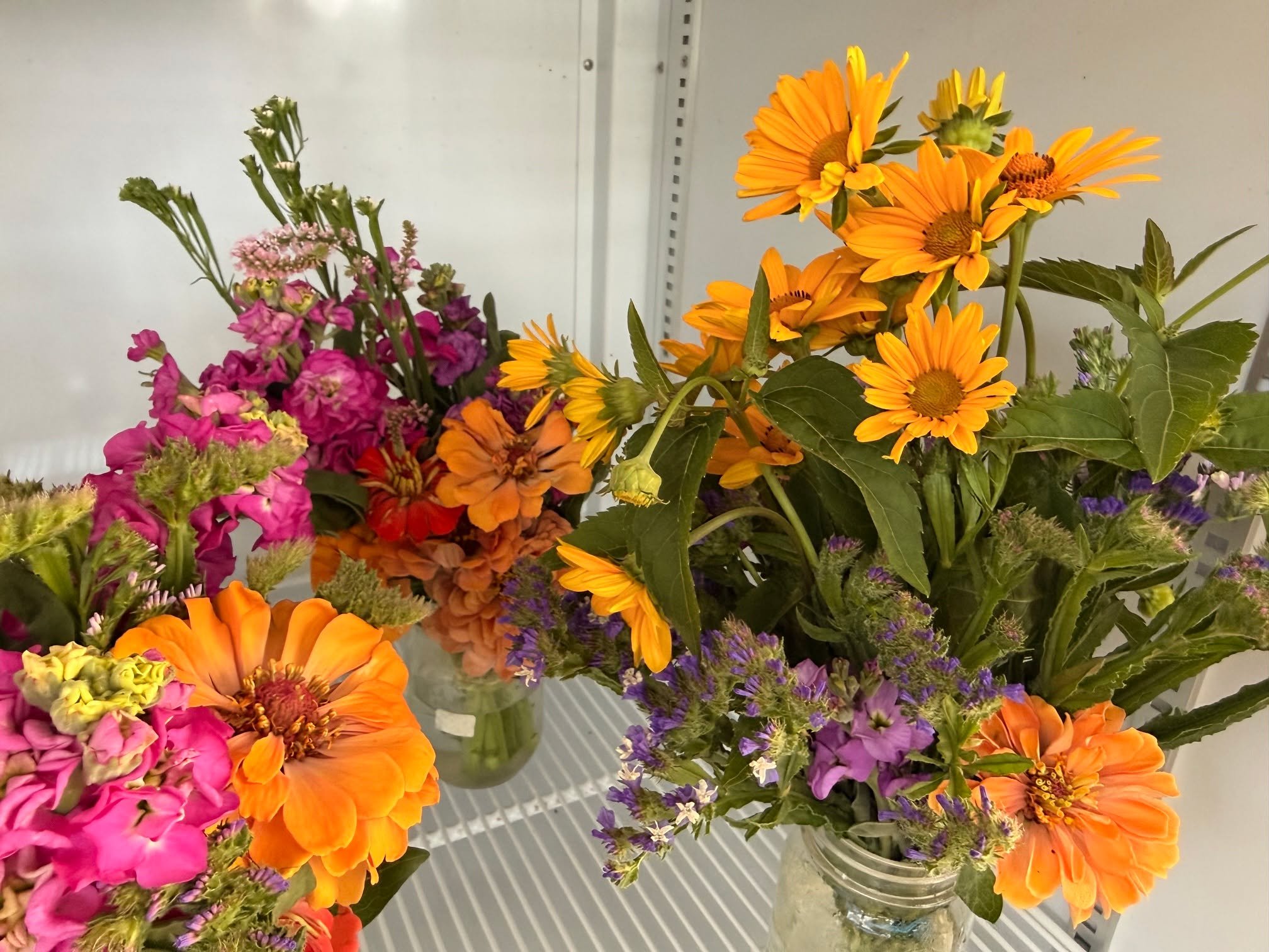 For those of you that want to bring your flowers inside with you (and your air conditioning!), we have cut some beauties today!