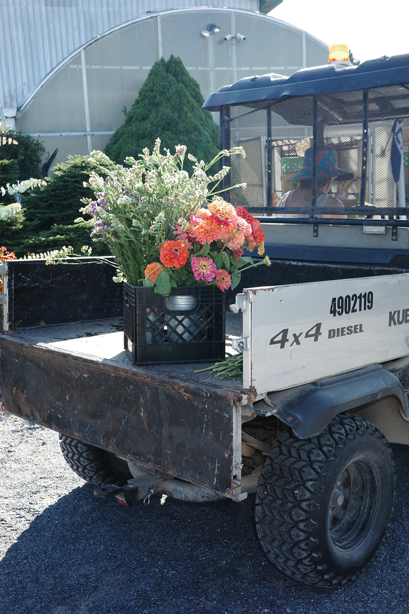 Your weekend deserves some cut flowers! We're making some new bouquets, freshly cut from our garden and ready to go home with you today - and hey, maybe you want to take a long walk to show them off, too!