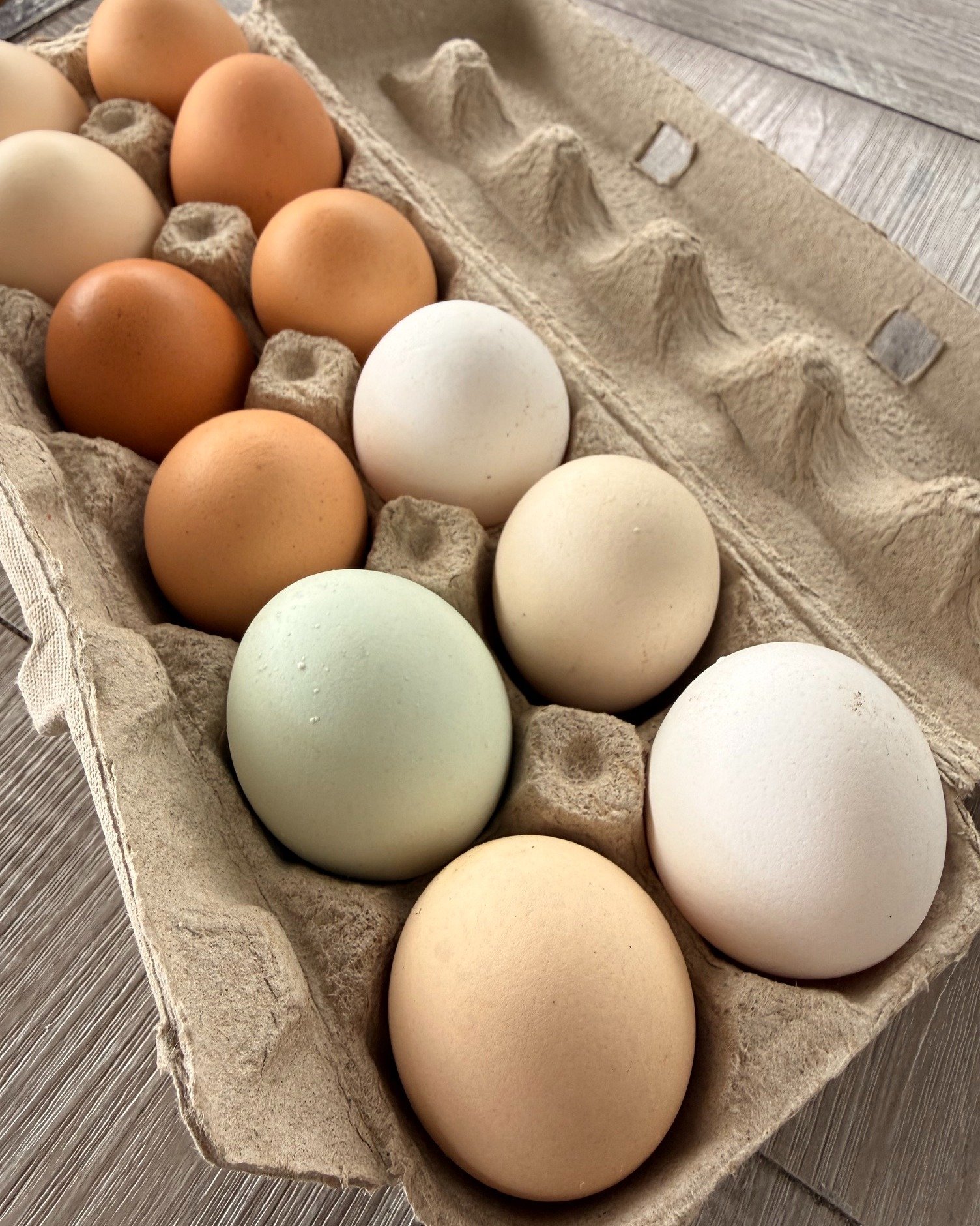 We have a nice batch of farm-fresh eggs in advance of your Thanksgiving cooking - we are open today until five but we will be closed on the holiday Monday!

Happy Thanksgiving from all of us at Canada Green!