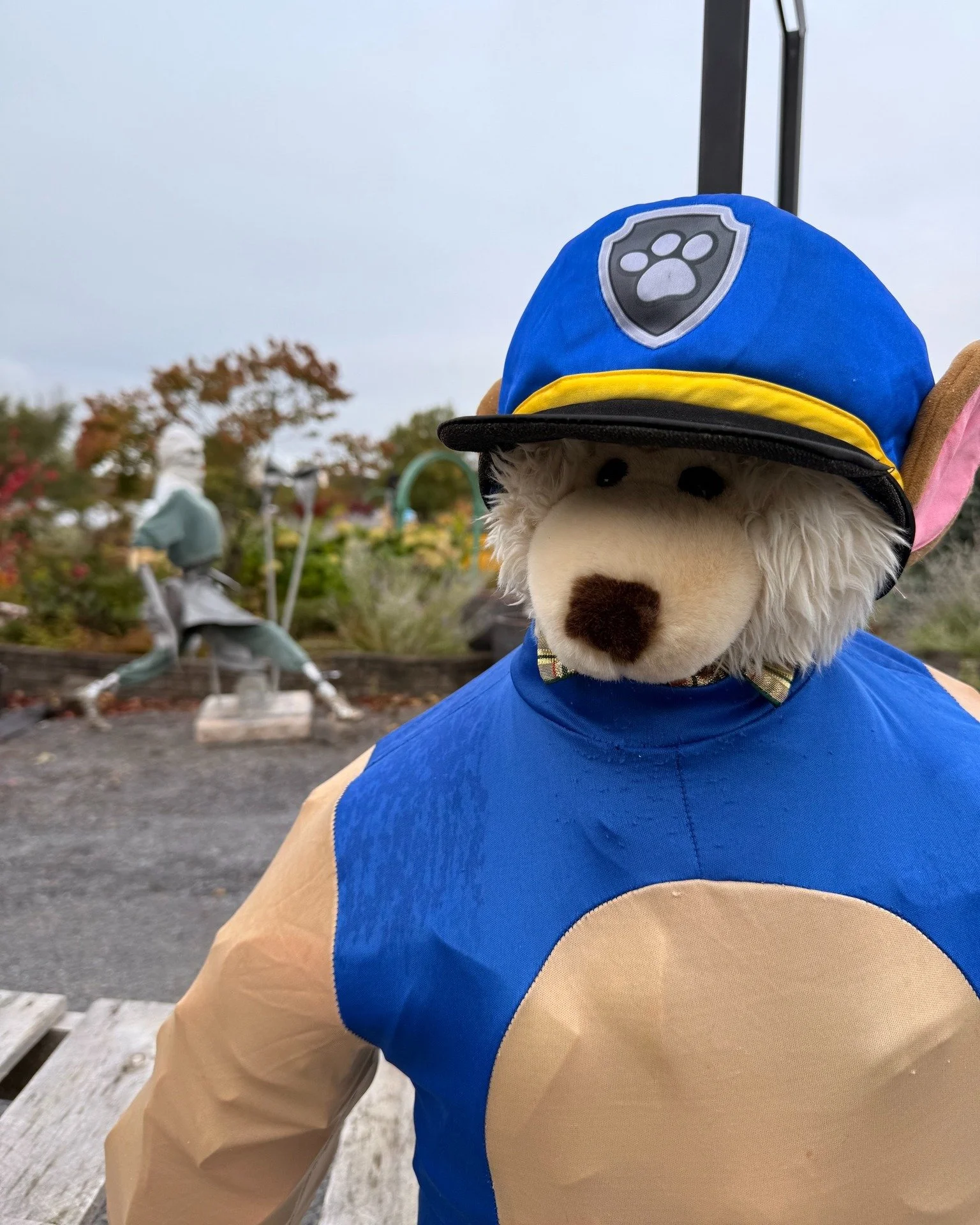 Just a friendly reminder that we are closed today - and that as good of an excuse as you can get to get to work on your scarecrows! We're a bit more than two weeks away from the deadline so... you know what to do!