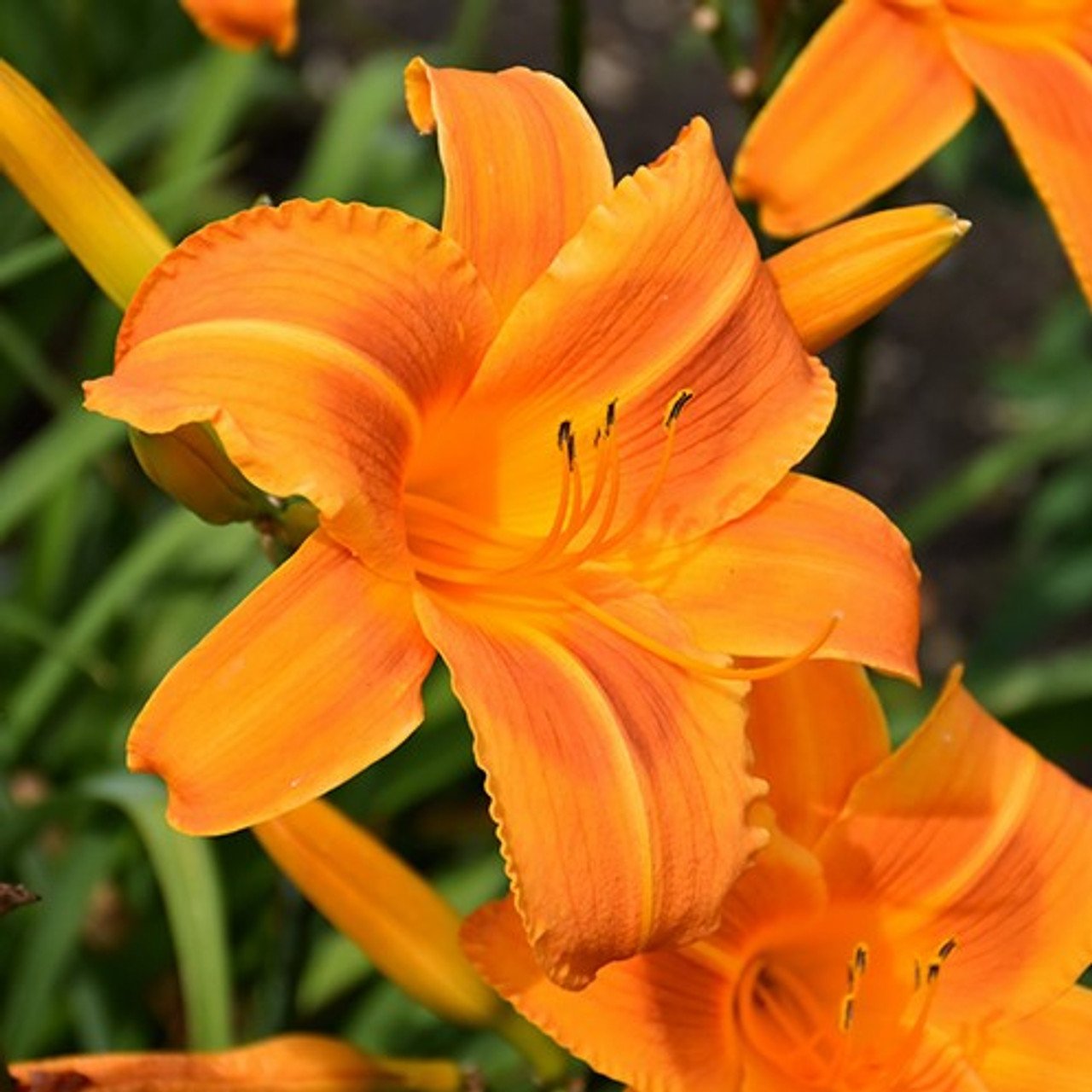 J306-09__23434.jpg