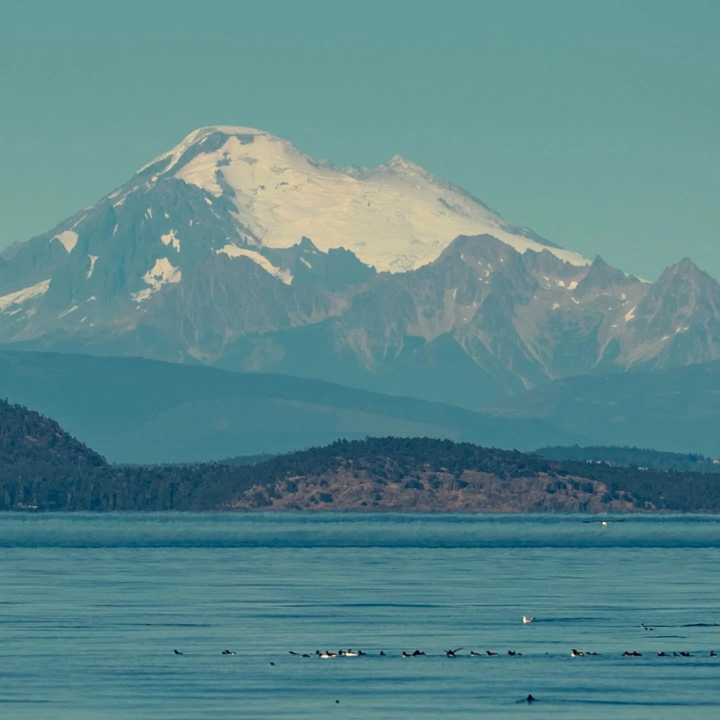 Baker showing off on a flat Strait crossing a few days ago&hellip;