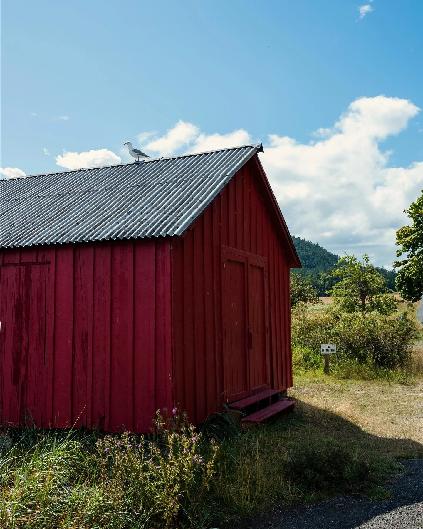 Summer in the San Juans