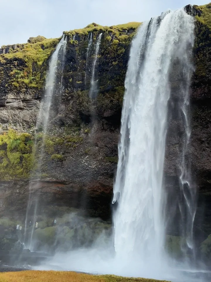 We made it! Iceland has been on our bucket list for years!! 🇮🇸 ✈️ I told Sean if this trip is disastrous like our last one that I would probably be done traveling internationally (we have not had good luck in the last few years, lol). Buuuuut, happ