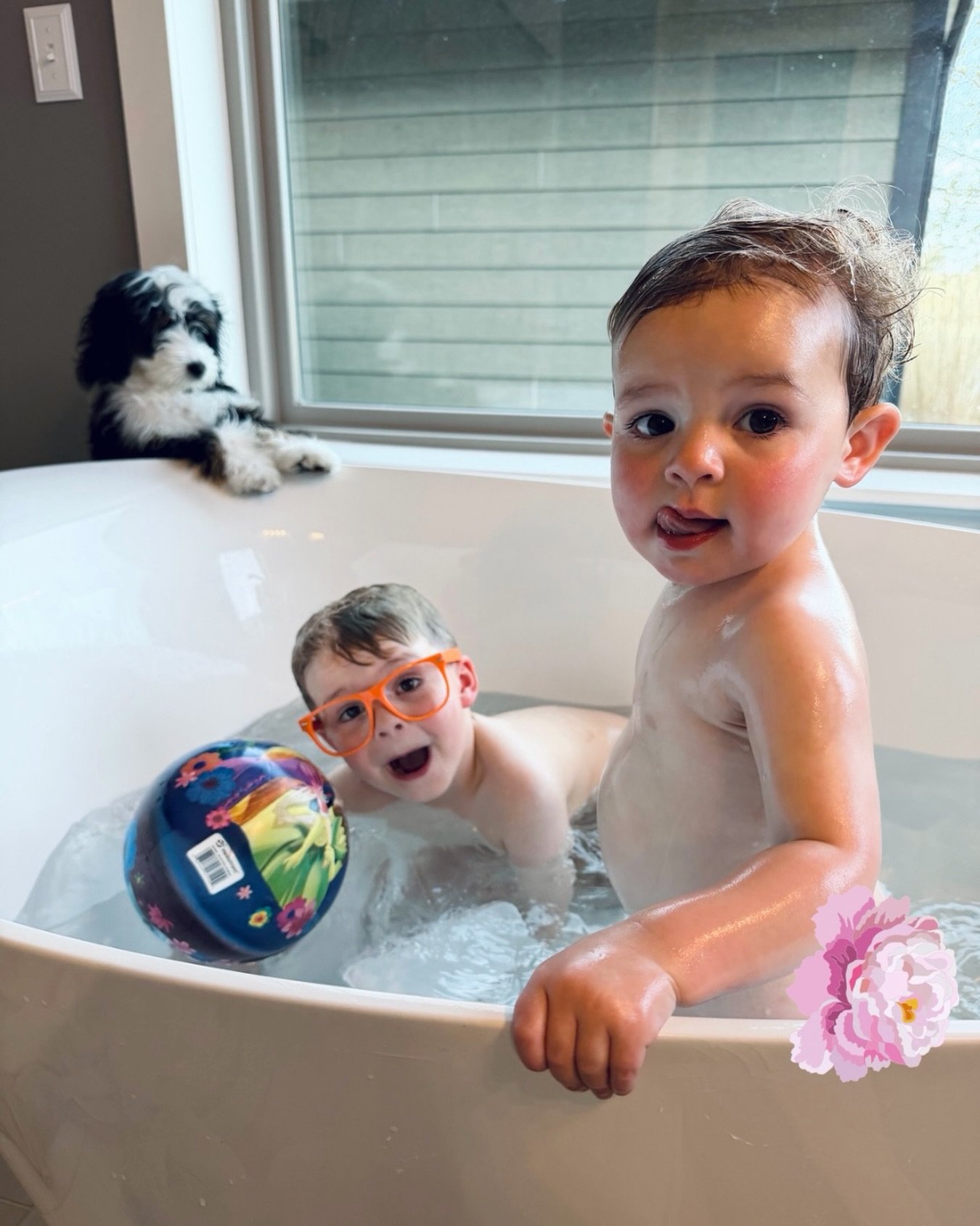 Two out of three have my heart. 💙🩷🐶