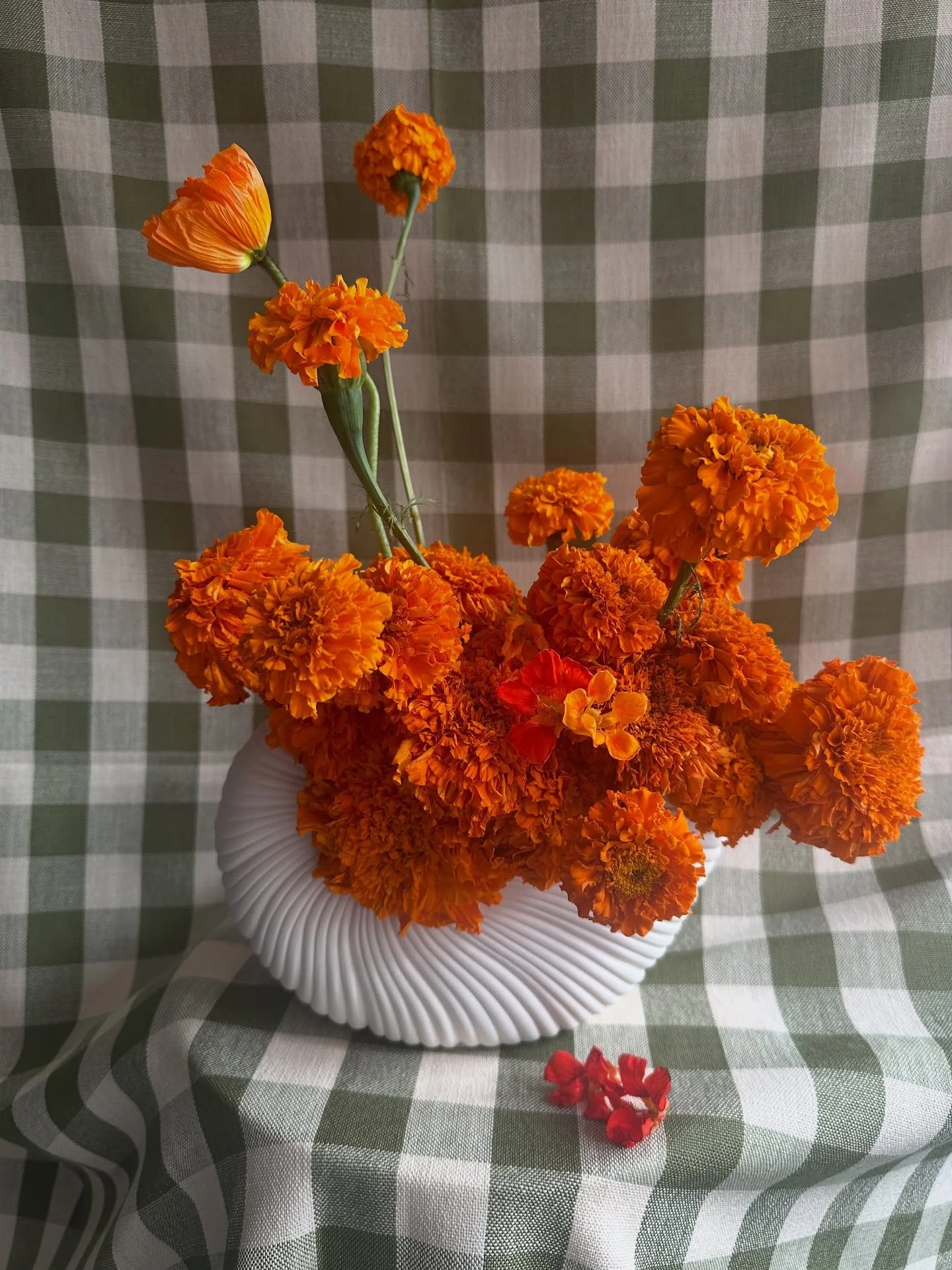 Marigold season is COMING and local summer flowers are THE BEST! 🍊
