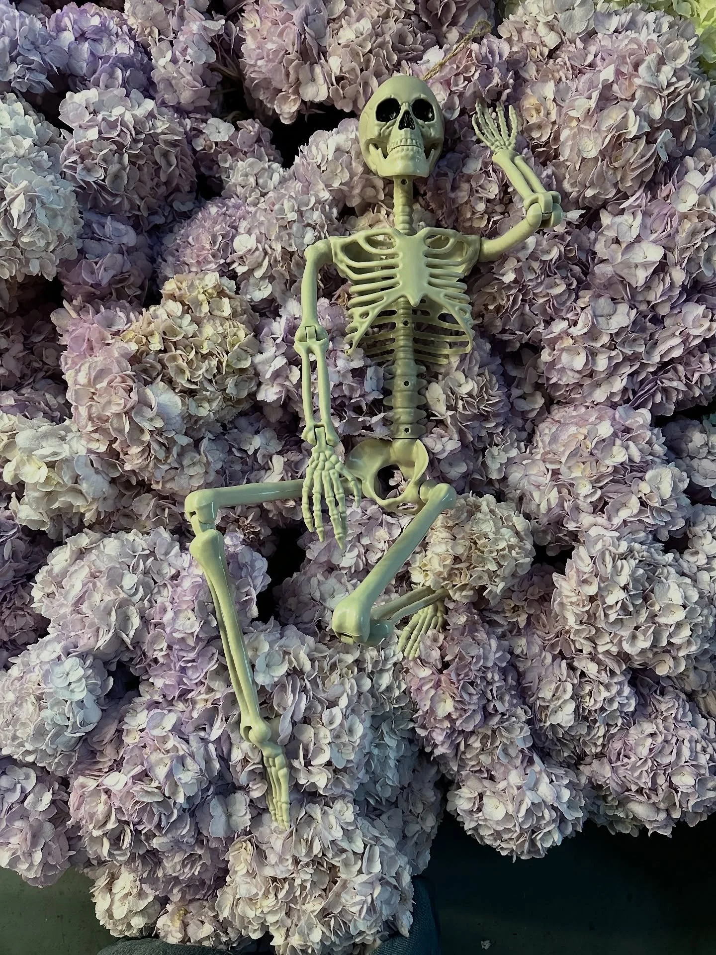 💀PLEASE JOIN OUR COVEN FOR A SPOOKY WORKSHOP 💀
On the eve of Wednesday 🎃 Oct 29th from 6-8pm
Come for some spooky DARK blooms and candlelit VIBES in creating a tasteful but SCARY arrangements only suited for WITCHES. 🎃