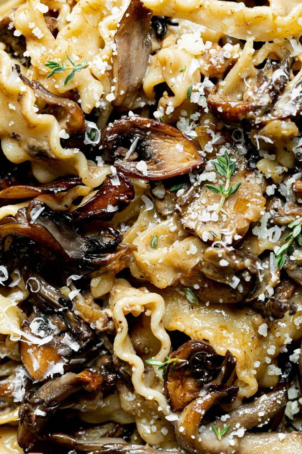 WIld Mushroom Ragu over FarfelⓋ