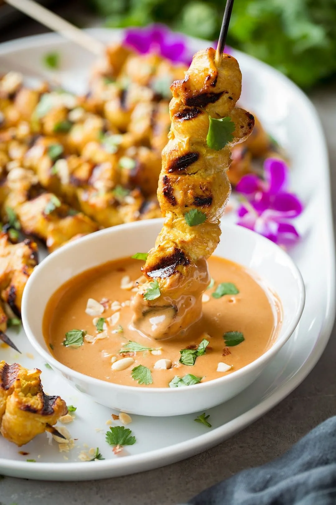 SATAY.jpg