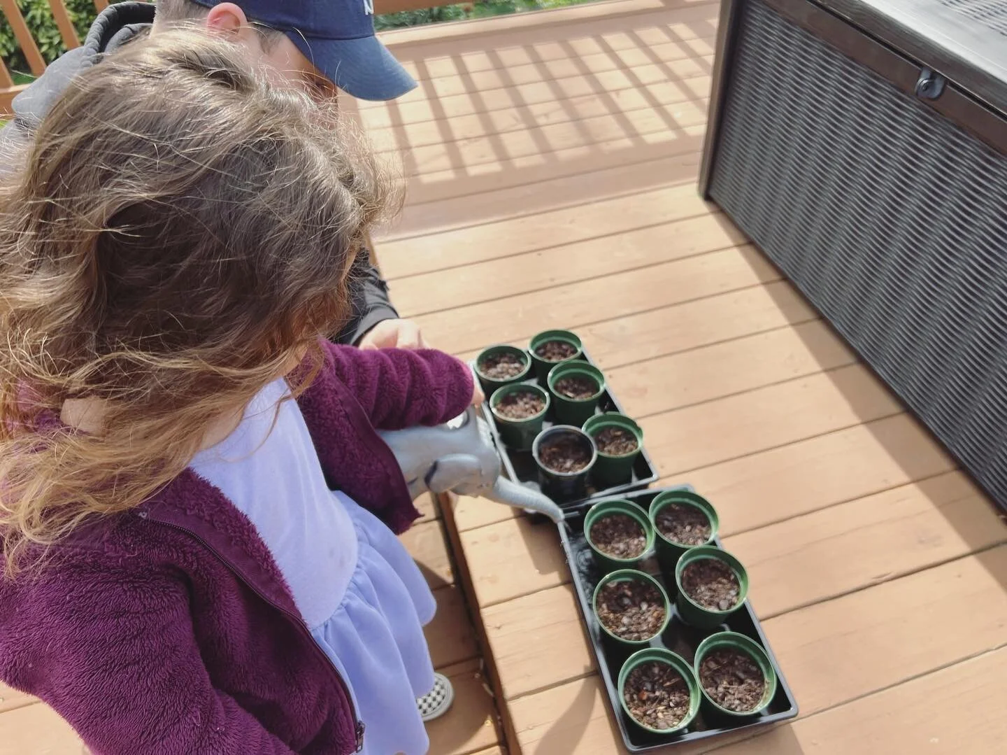 Gardening with Kids - for the benefits and a user-friendly guide, check out the link in our bio! (Linked in stories as well)

Thank you to @dcmoms for allowing us to be guest authors! 

#gardening #gardeninglife #gardeningwithkids #screenfree #screen