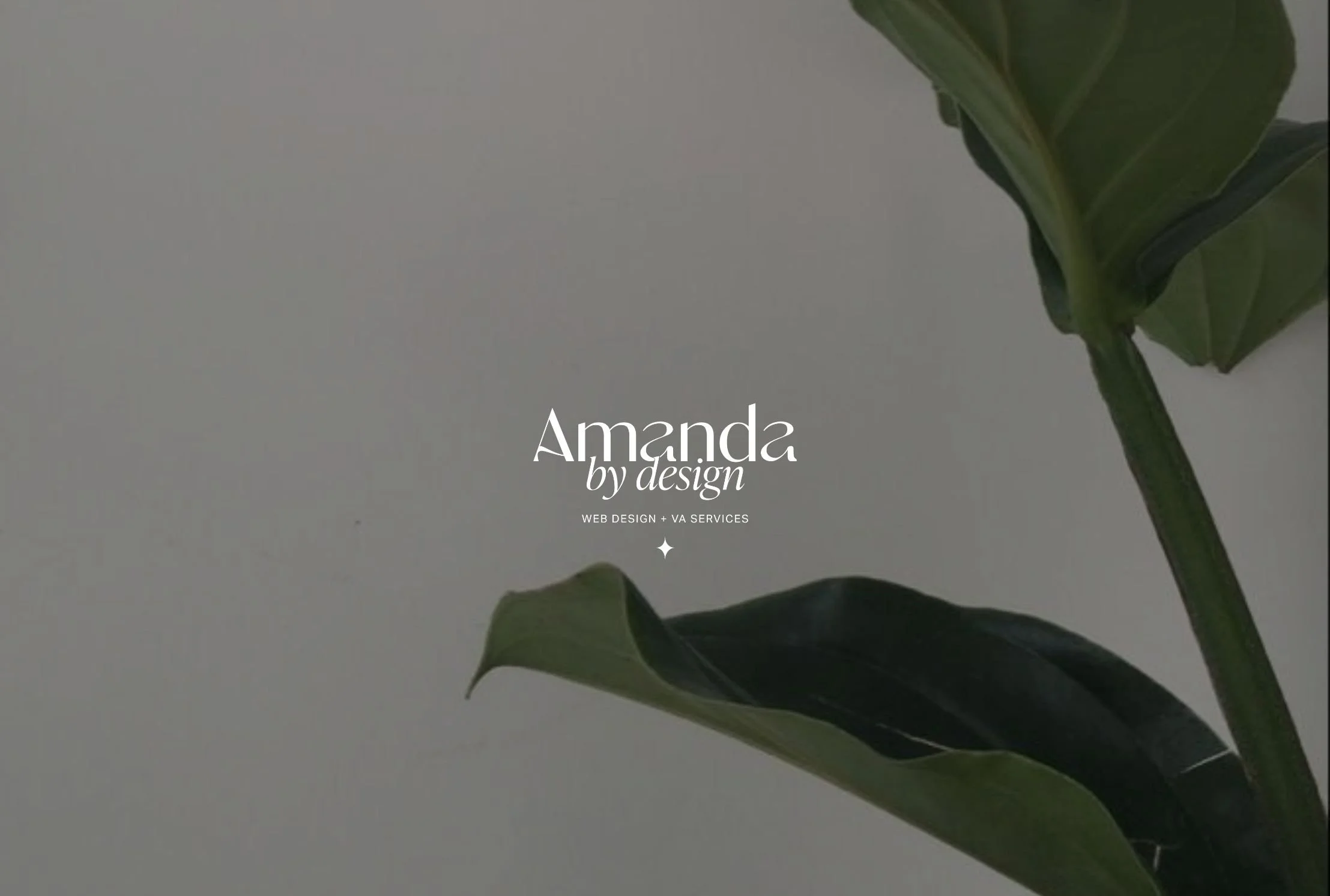 Amanda by Design
