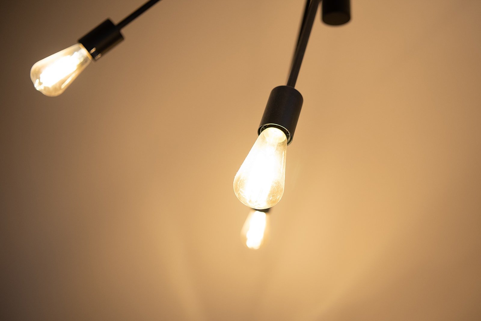 maedaniels - Luci-105.jpg