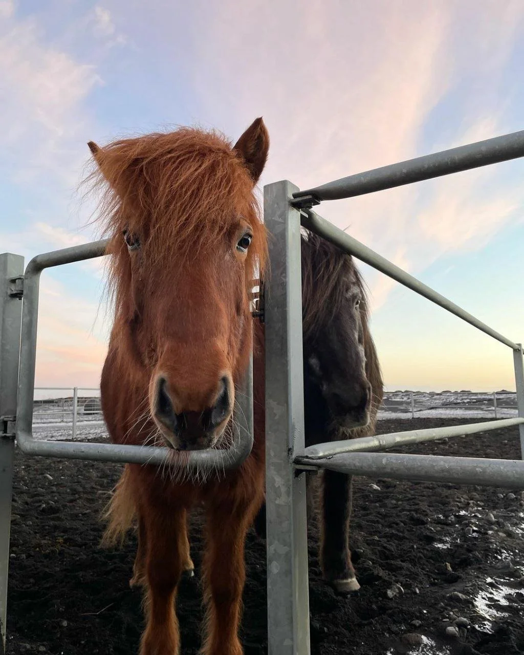 a98ff21e-69a9-440c-8ee4-a33ea9cfef12.jfif