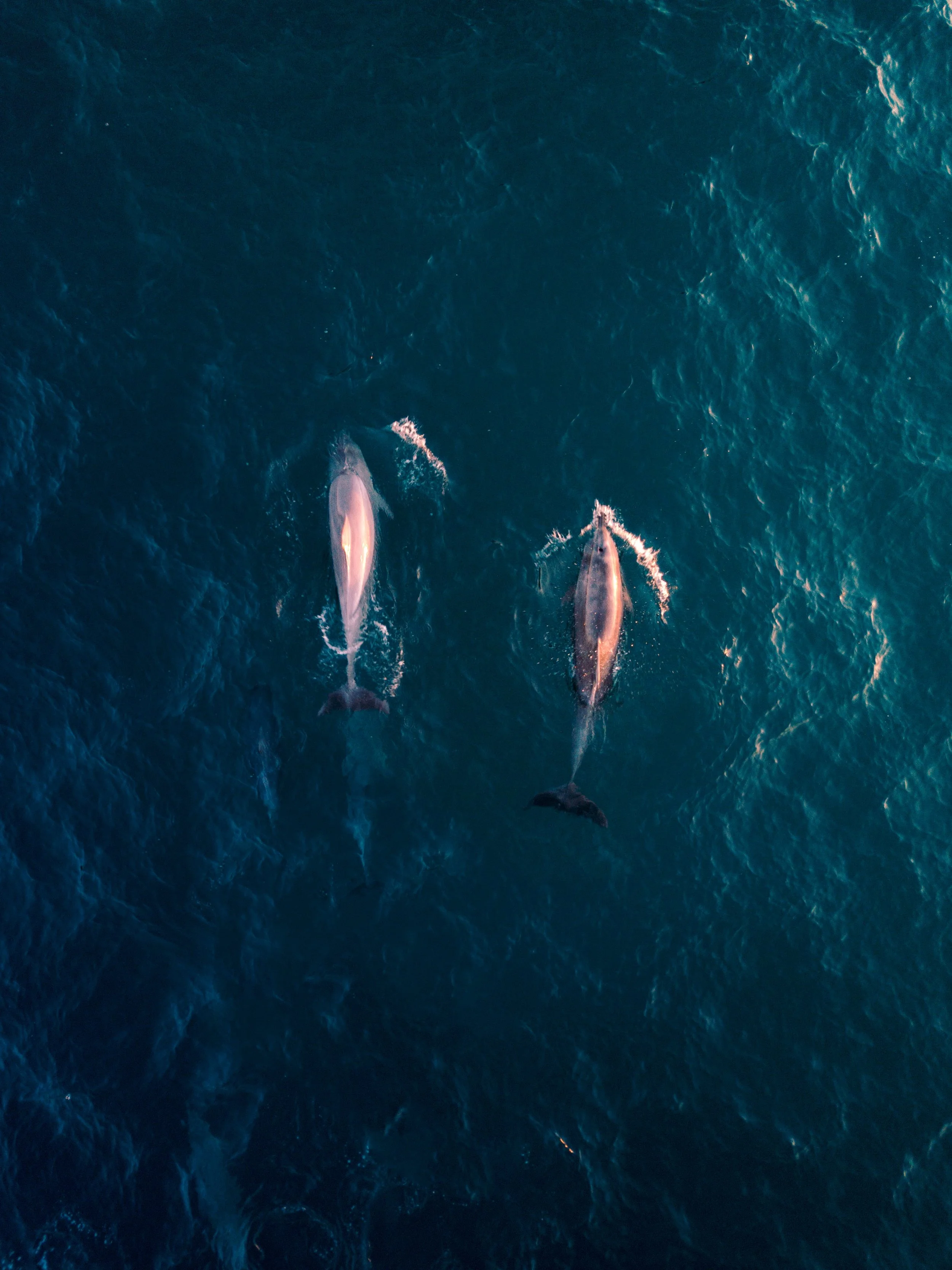 lachlan-dempsey-sTclPXTDcXo-unsplash.jpg