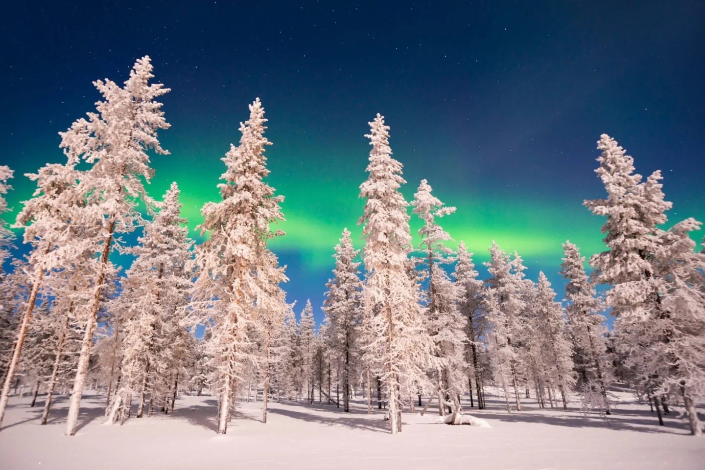 AdobeStock_142232354-1440x961.jpeg