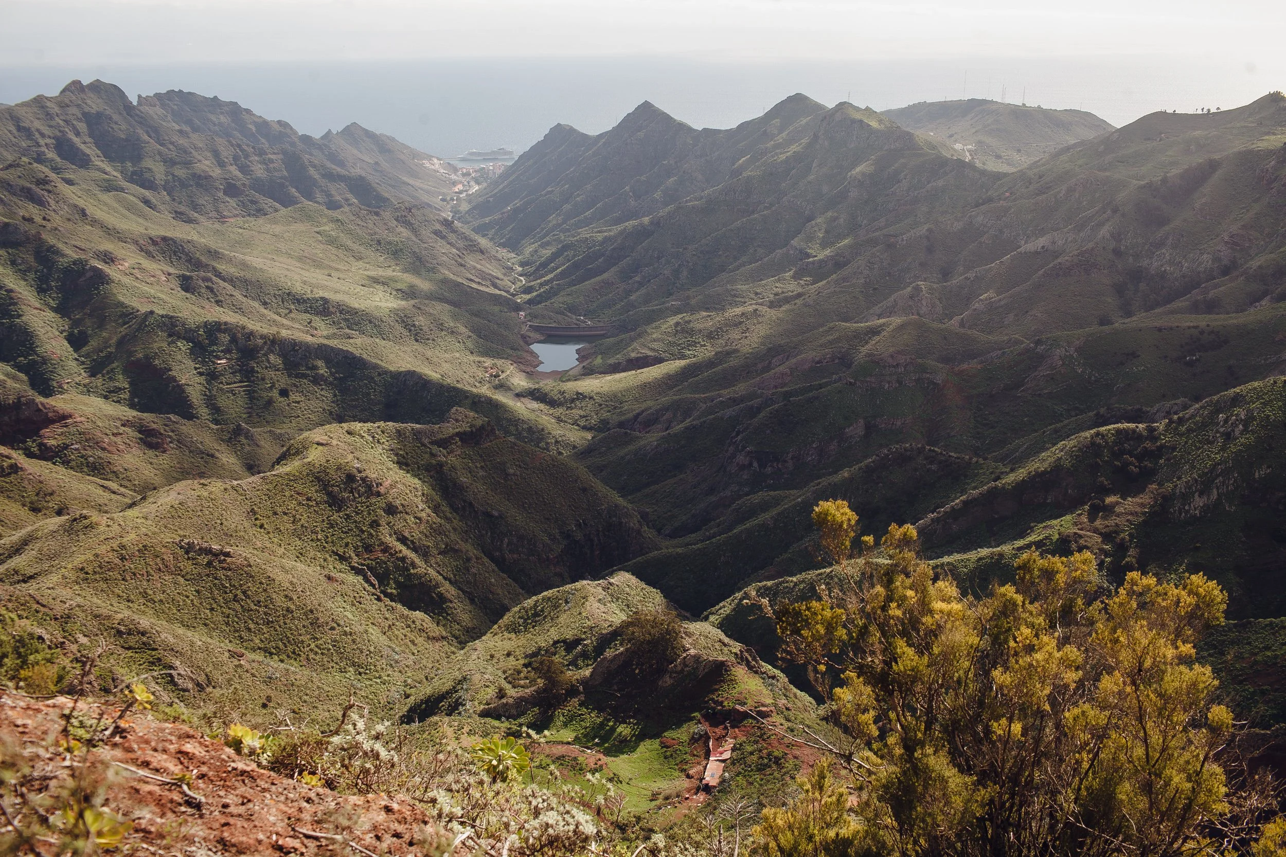 2019.11 Tenerife 4088.jpg