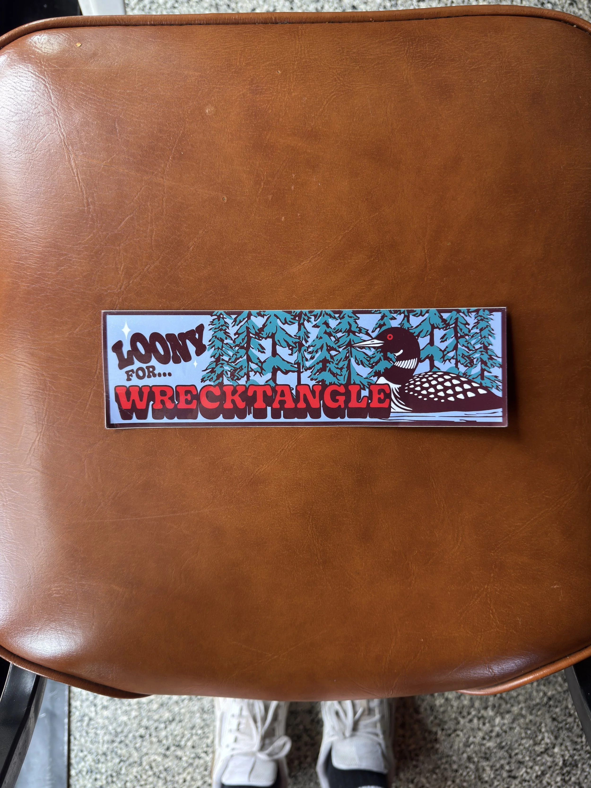 LOONY BUMPER STICKER