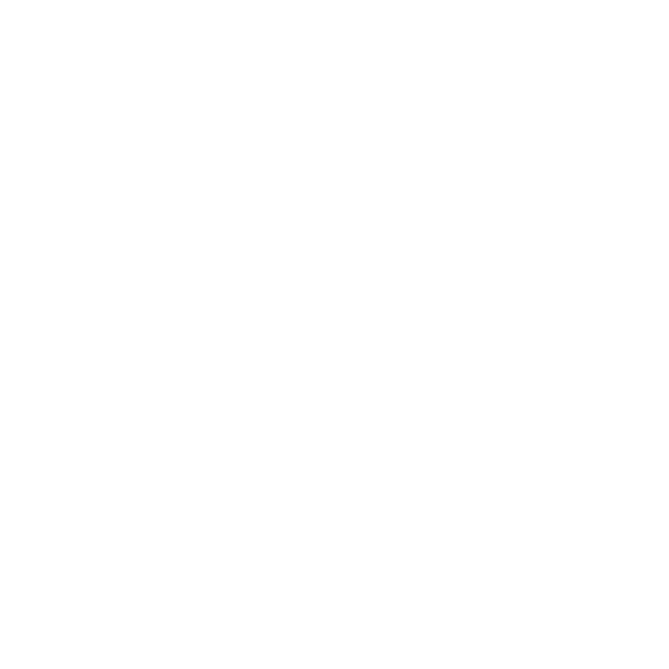 WRECKTANGLE PIZZA