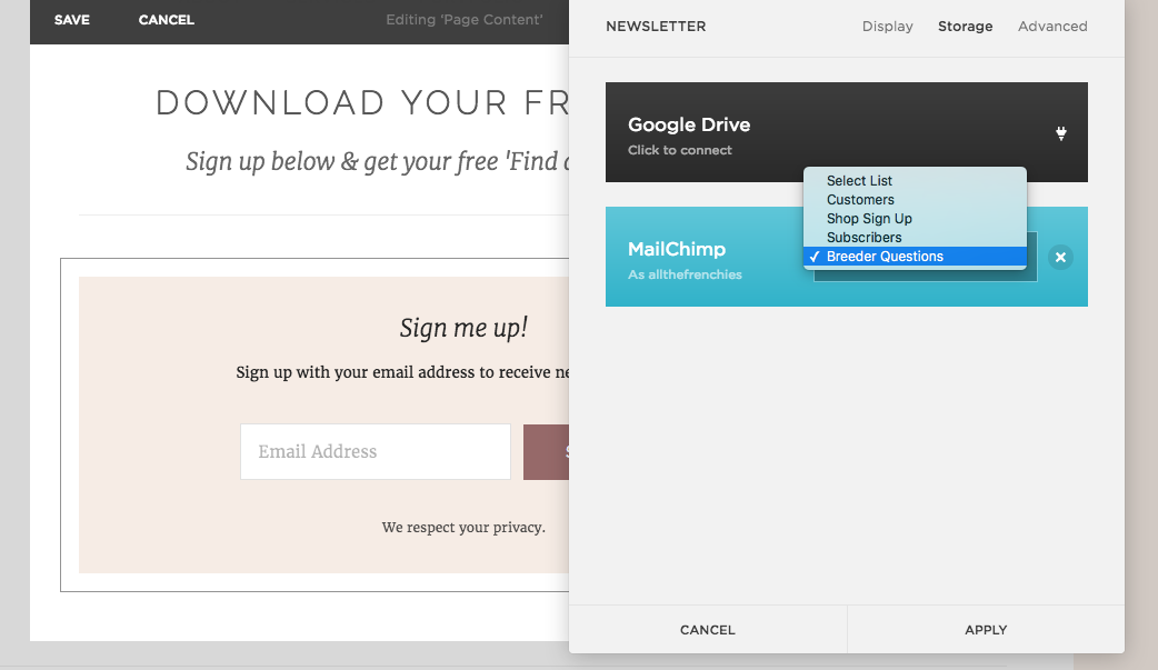 How to Use Mailchimp & Squarespace for Delivering Opt-In Freebies ...