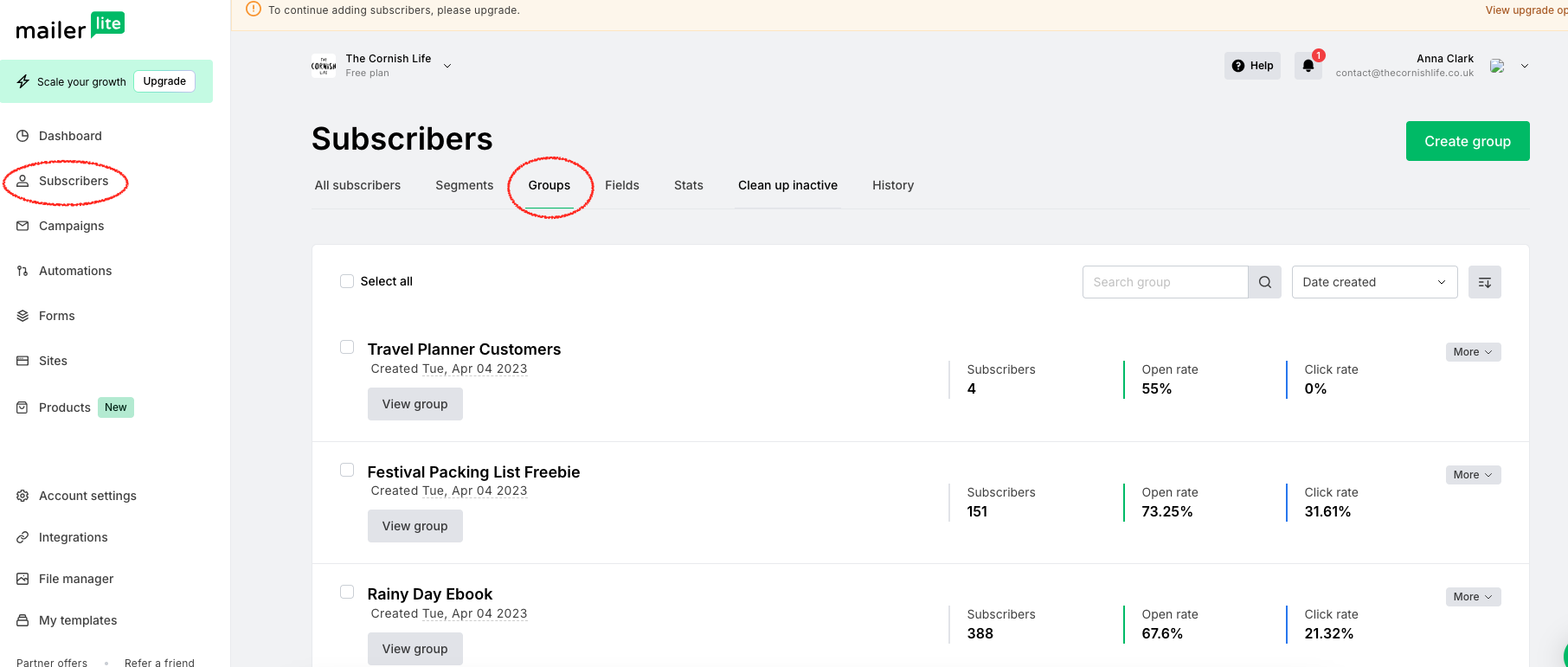 Mailerlite groups