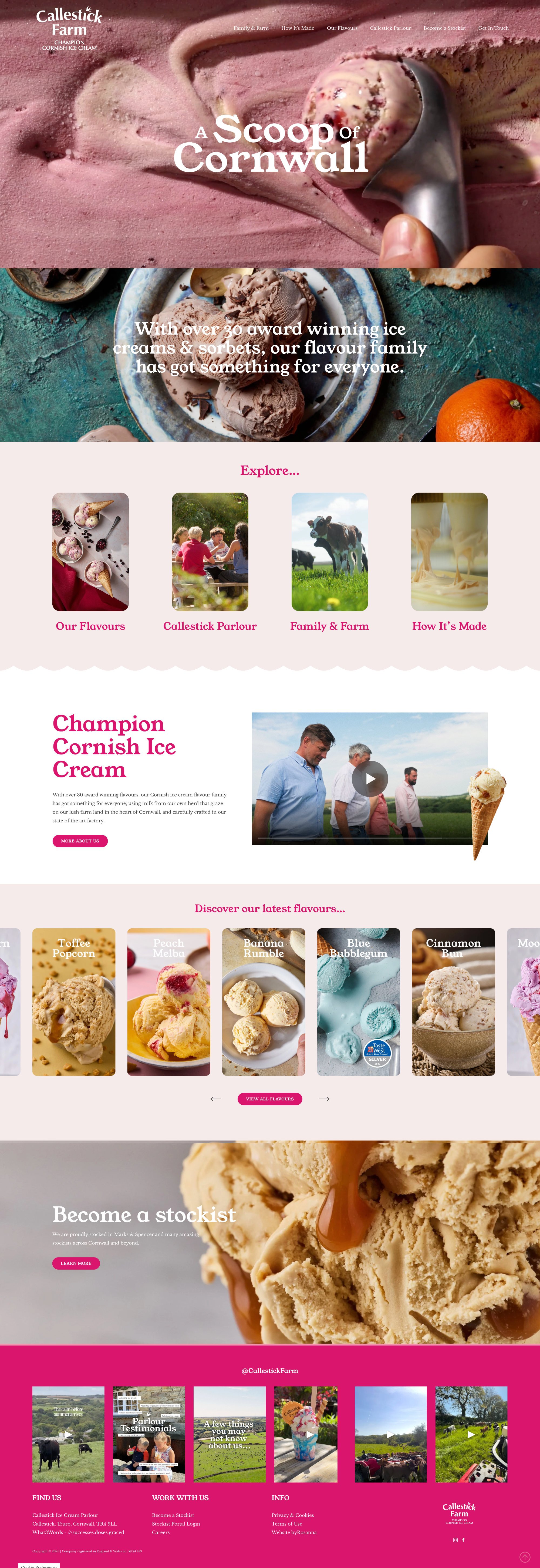 Squarespace website design for ice cream brand