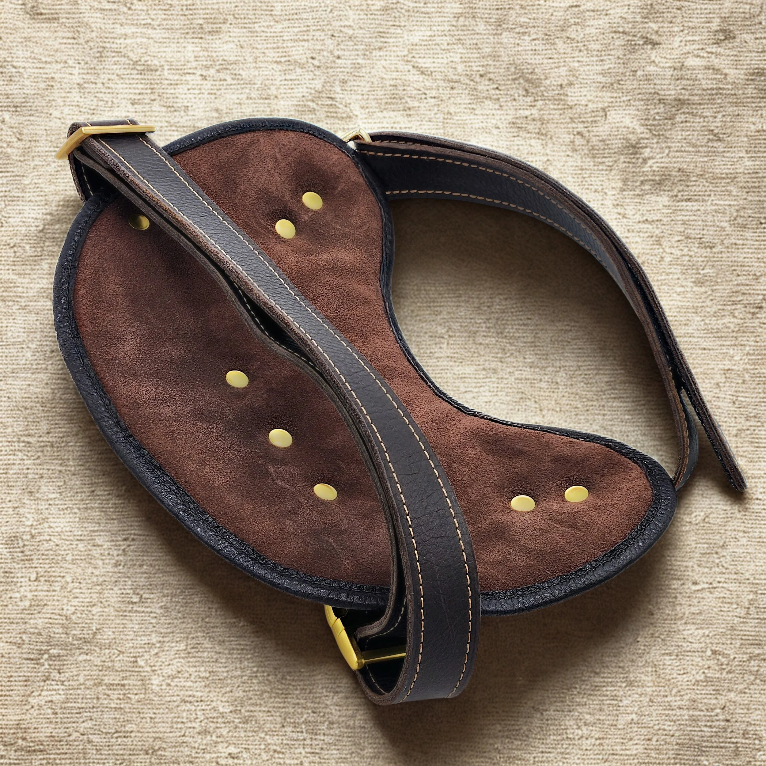 Dog Harness_2.jpg