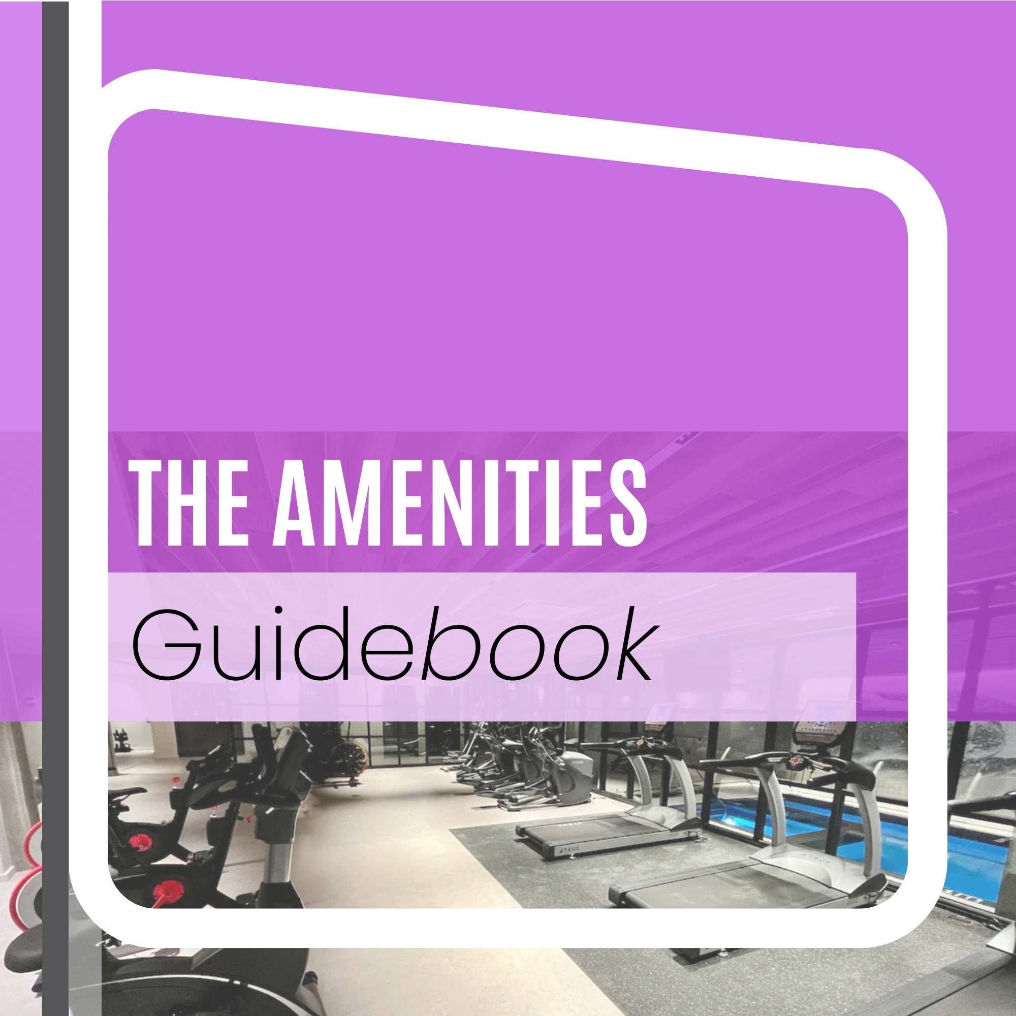 The Superhost Mentors for Elevïn Hosted Stays_Short Term Rental and Vacation Experts_The Amenities Guidebook Template_Cover Page