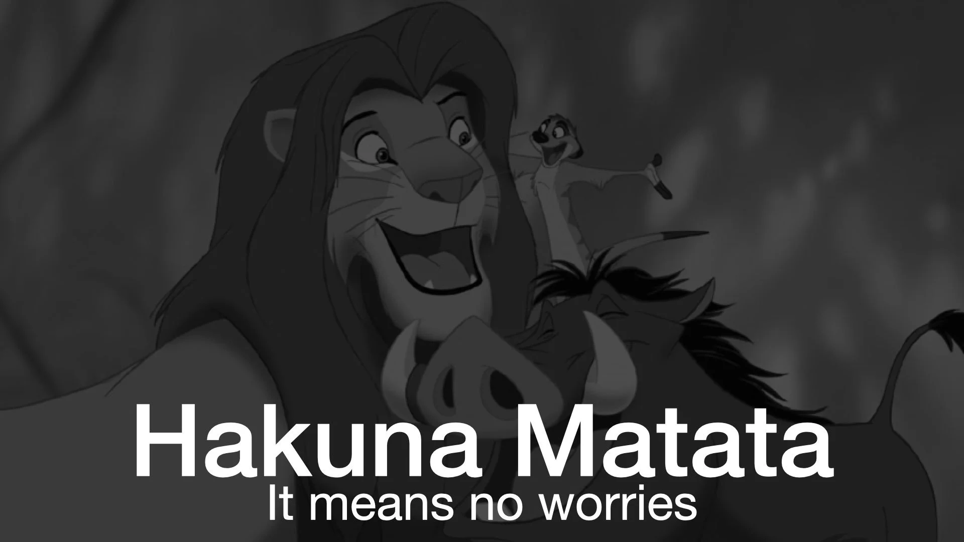 “Hakuna Matata”