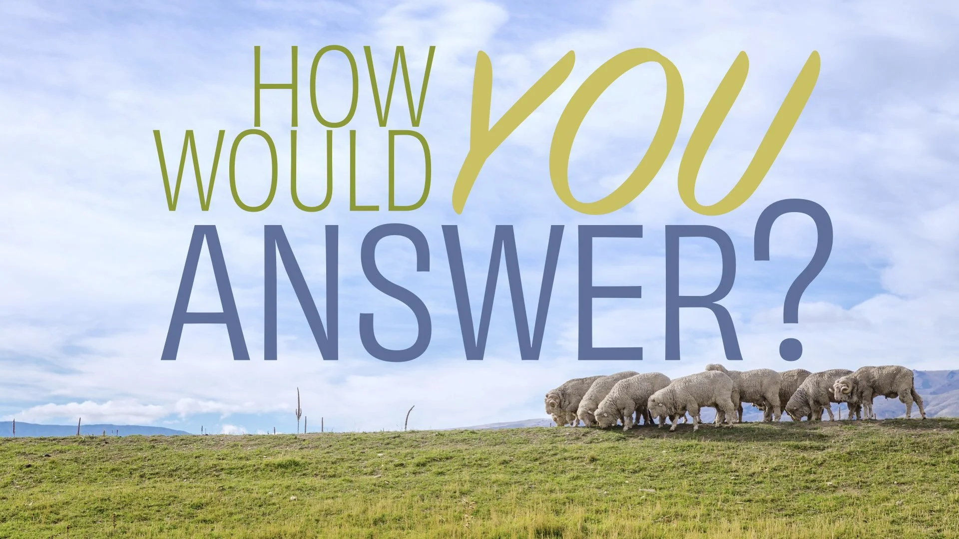 “How Would You Answer?”