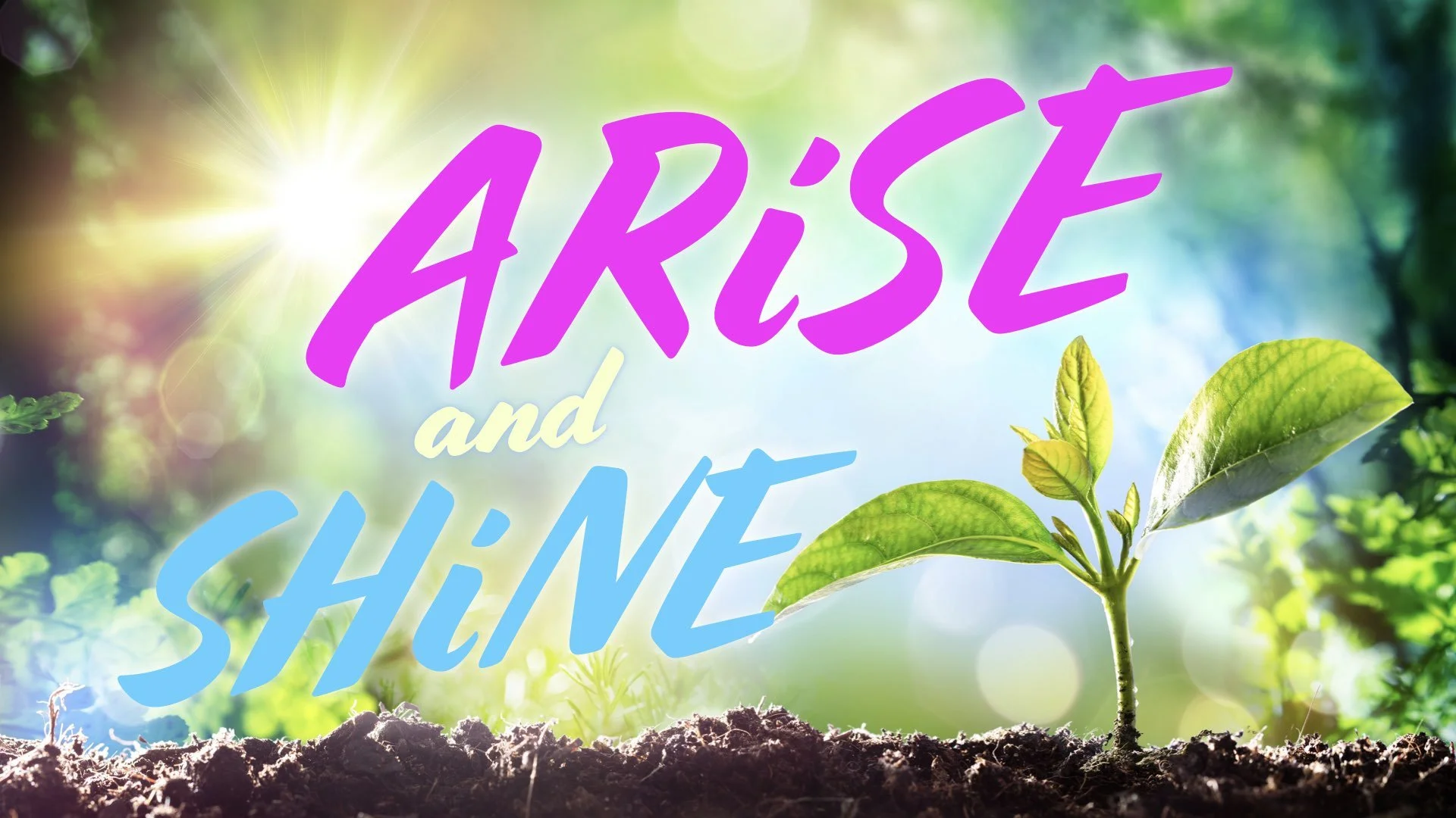 “Arise and Shine”