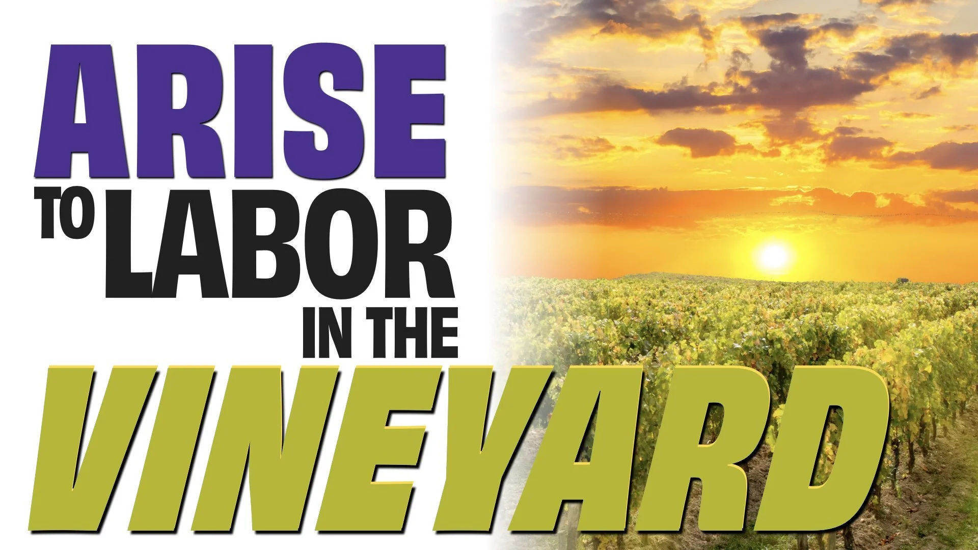 “Arise to Labor in the Vineyard”