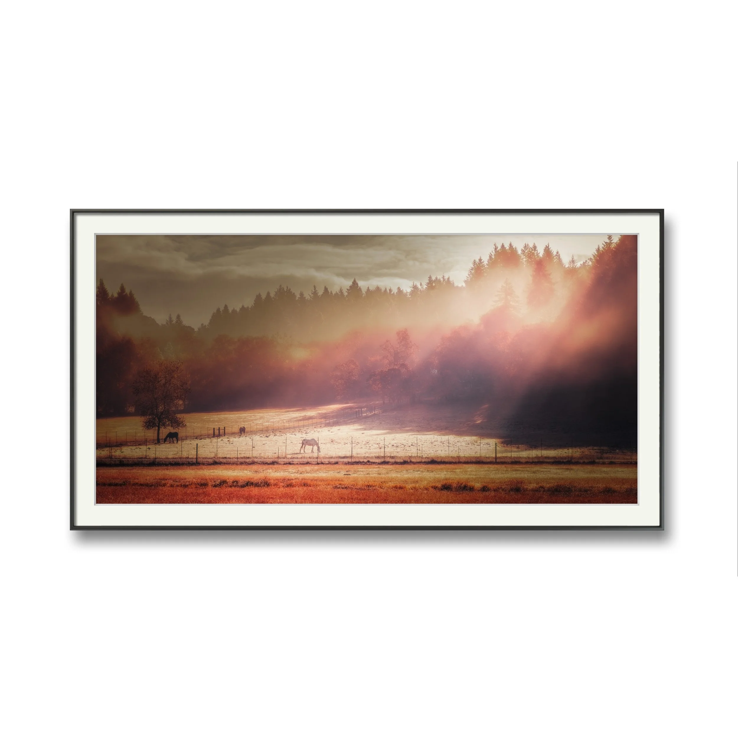 Image_Editor (2).png