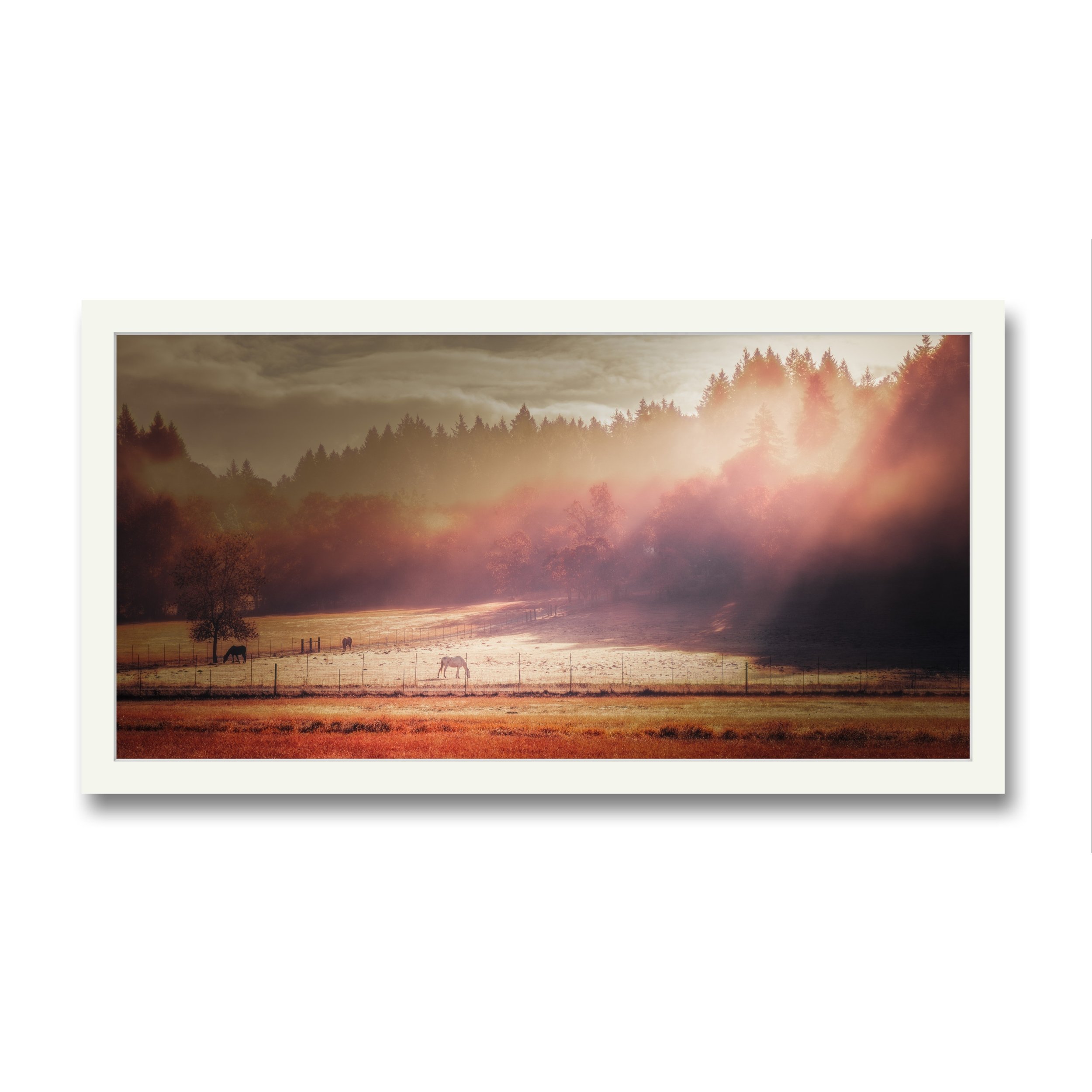 Image_Editor.png