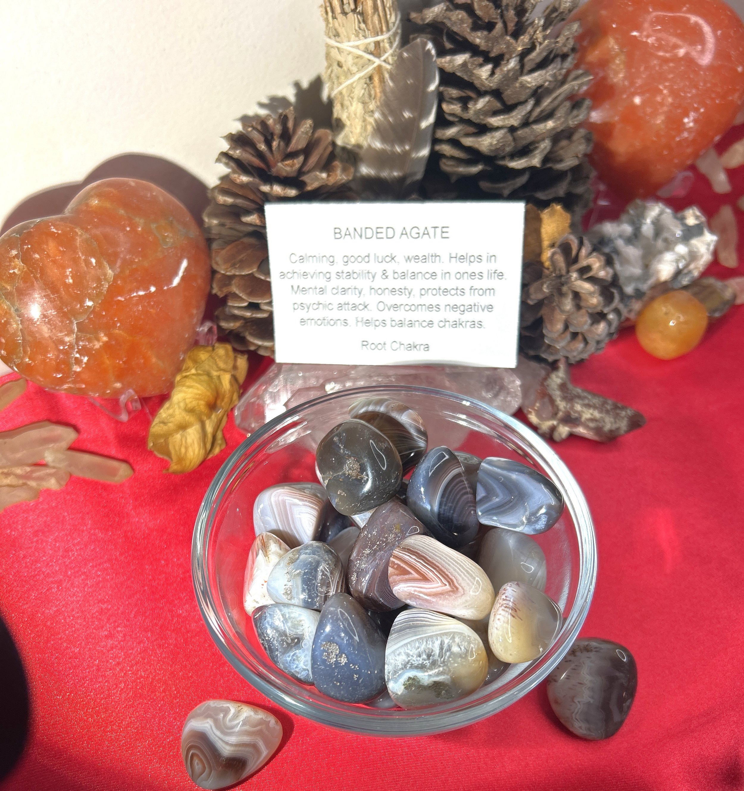 TUM-119 BOTSWANA AGATE.jpg