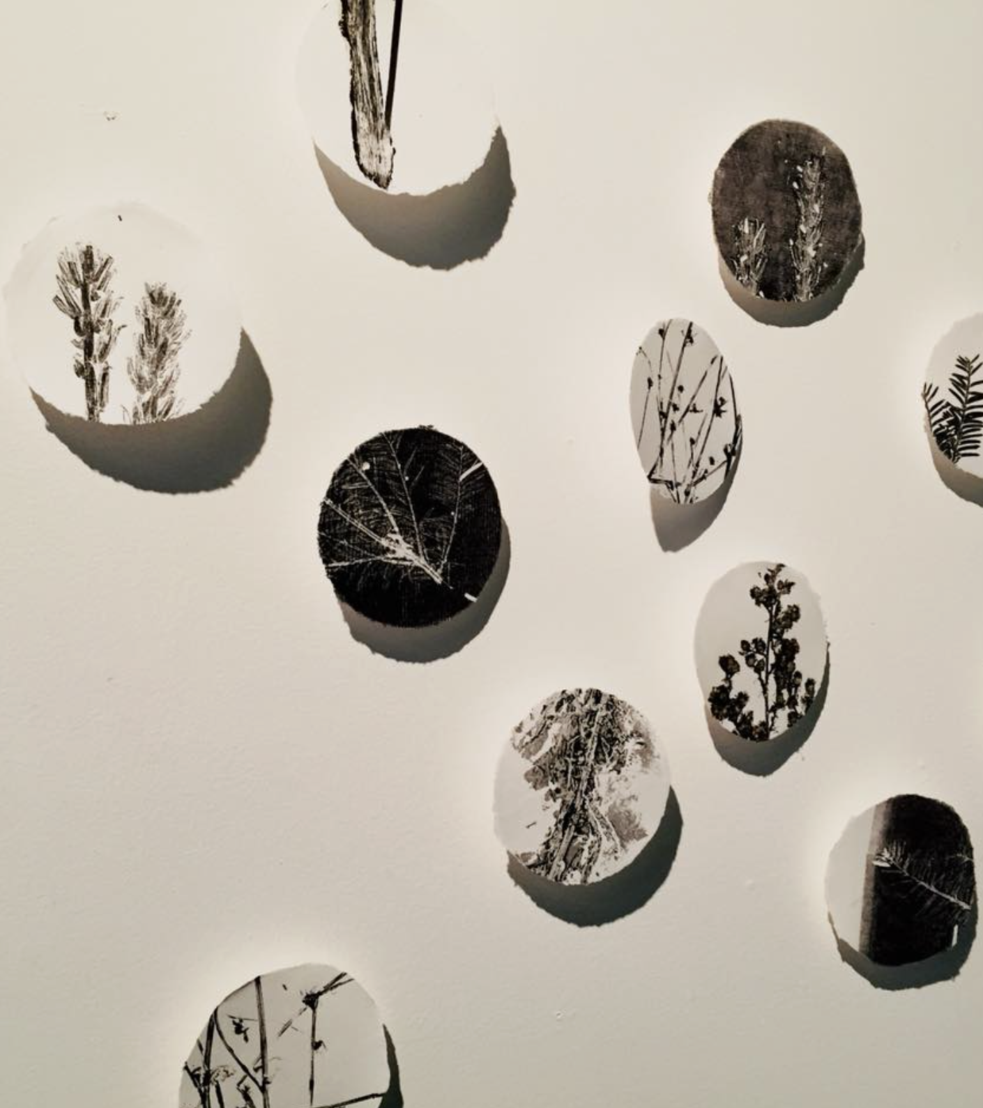 Screenshot 2025-11-24 at 11.11.46 AM.png