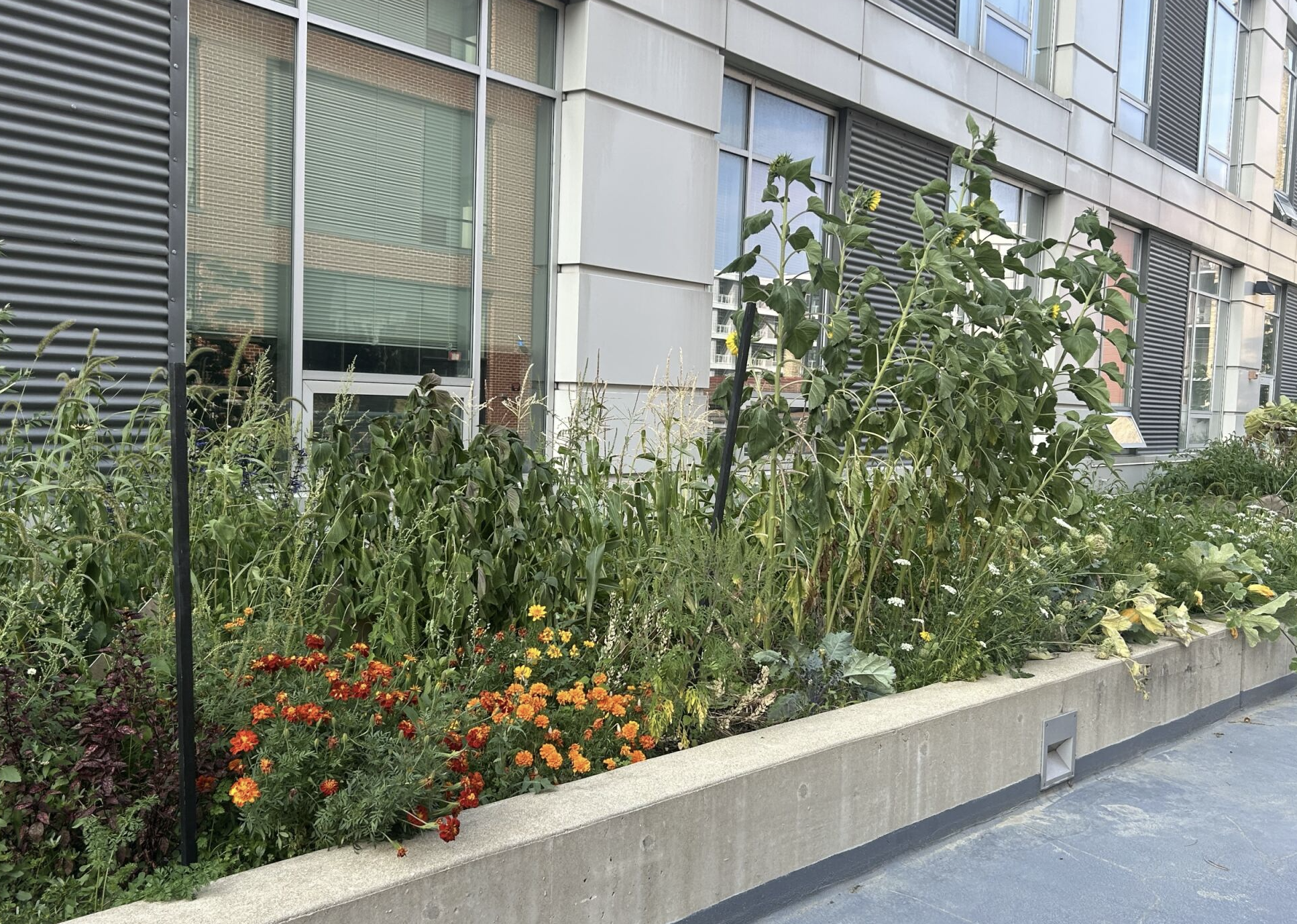 Screenshot 2025-11-24 at 8.54.37 AM.png