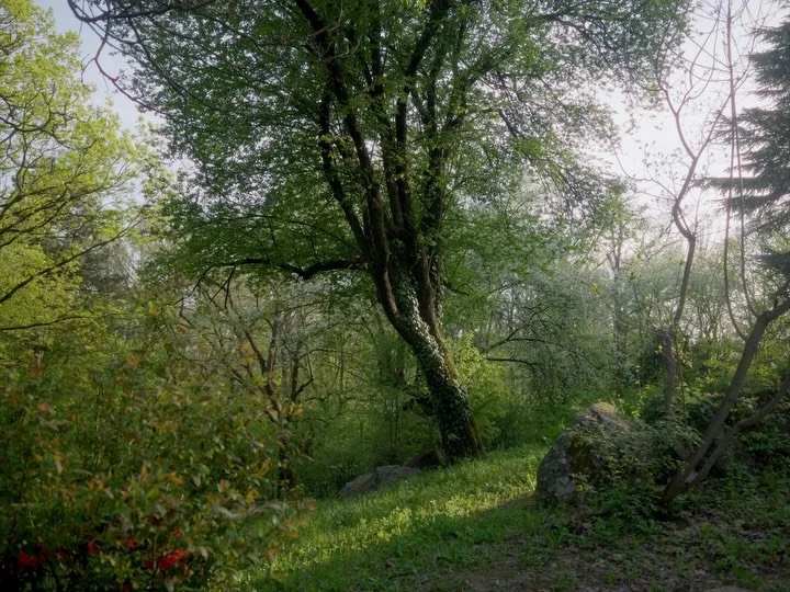 Helysz&iacute;nszeml&eacute;t tartottunk a h&eacute;tv&eacute;gi g&ouml;d&ouml;llői csal&aacute;di fot&oacute;z&aacute;sokhoz. B&aacute;r itt lakunk a szomsz&eacute;dban, m&eacute;gis olyan j&oacute; meg&aacute;llni &eacute;s n&eacute;zni, ahogy z&ou