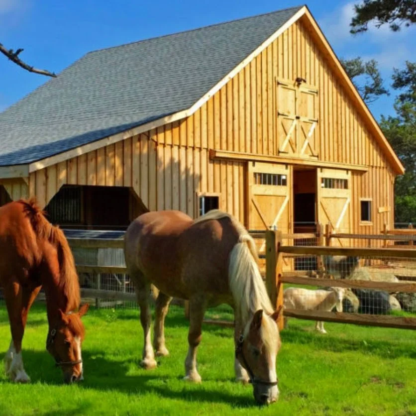 Barn-7