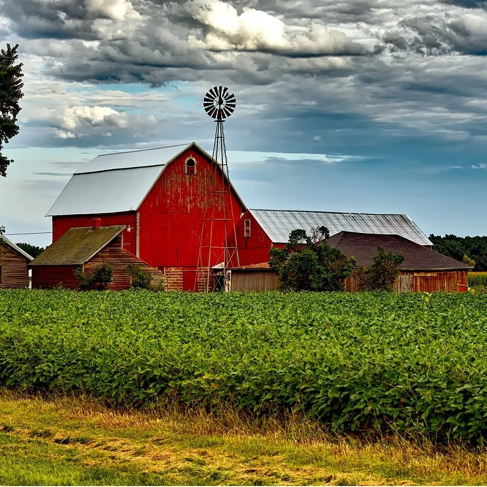 Barn-3